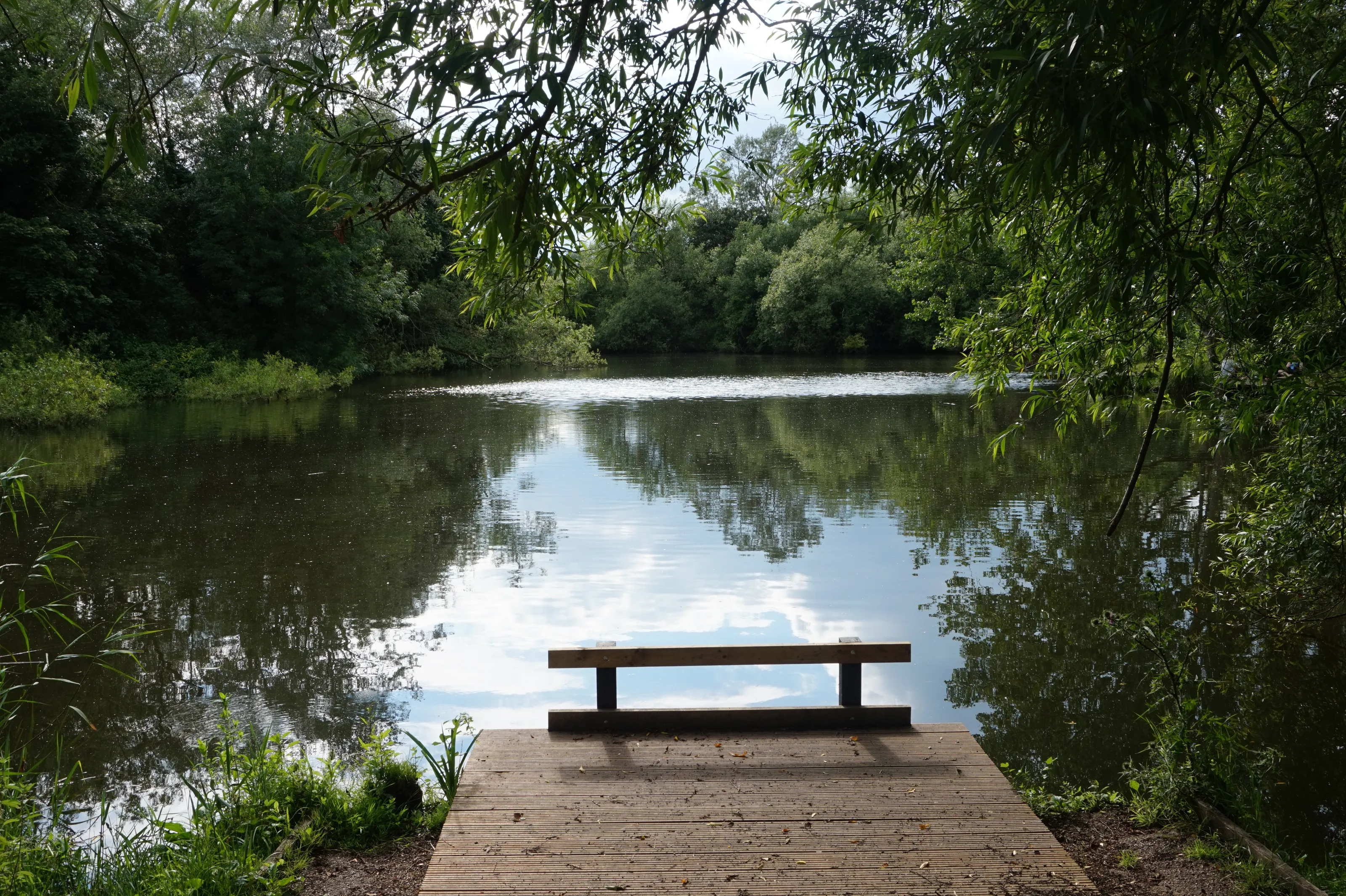 By the lake