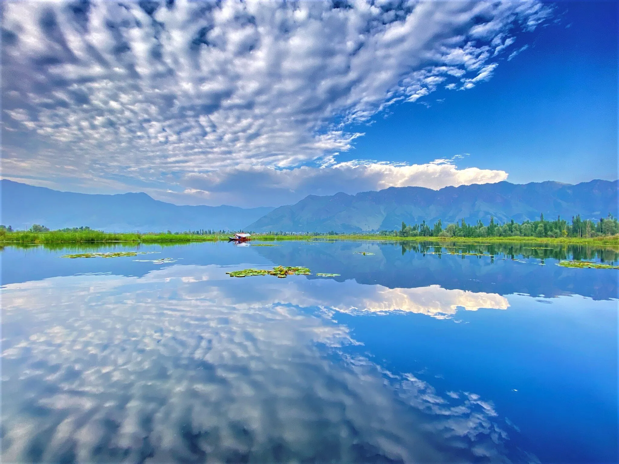 Reflections