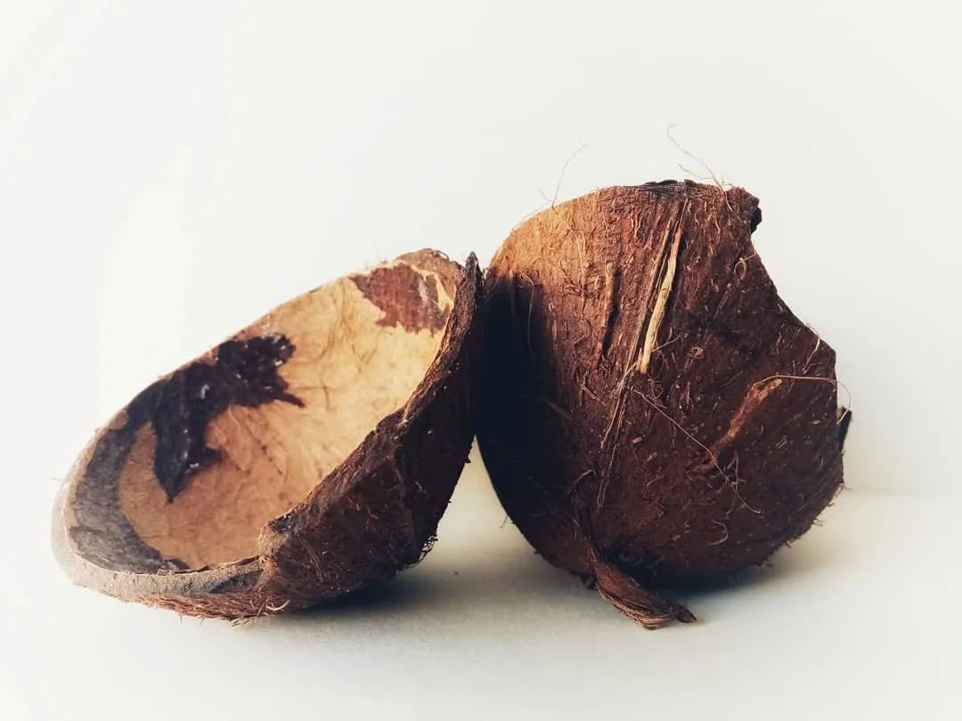 Coconut Shell