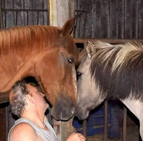 Eerlijke liefde