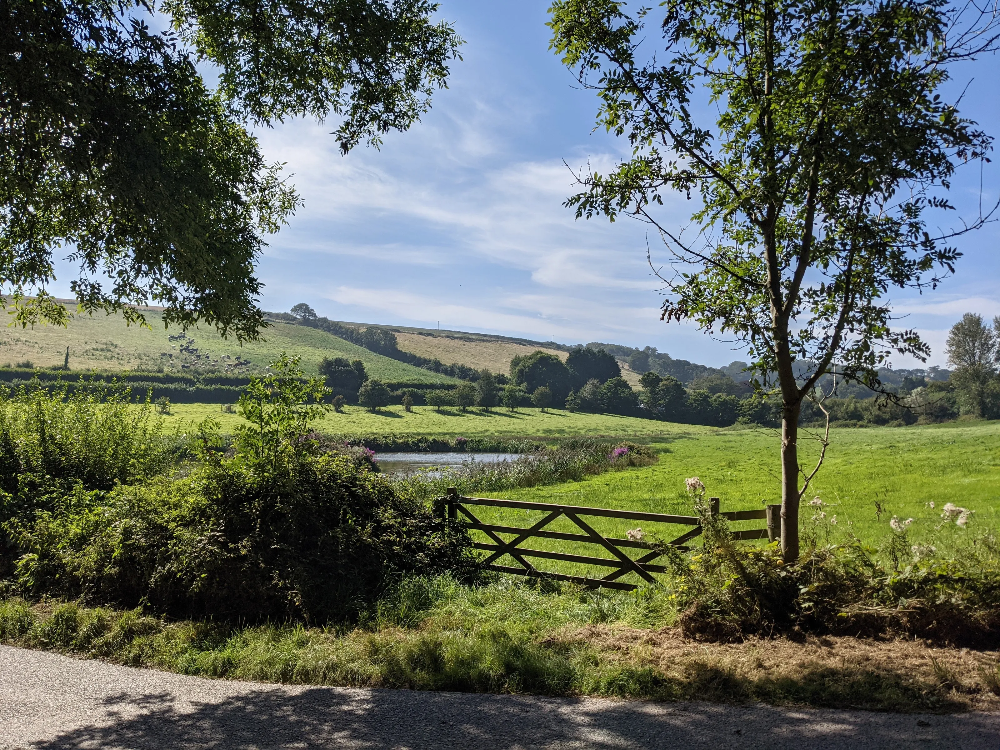 Summers gate