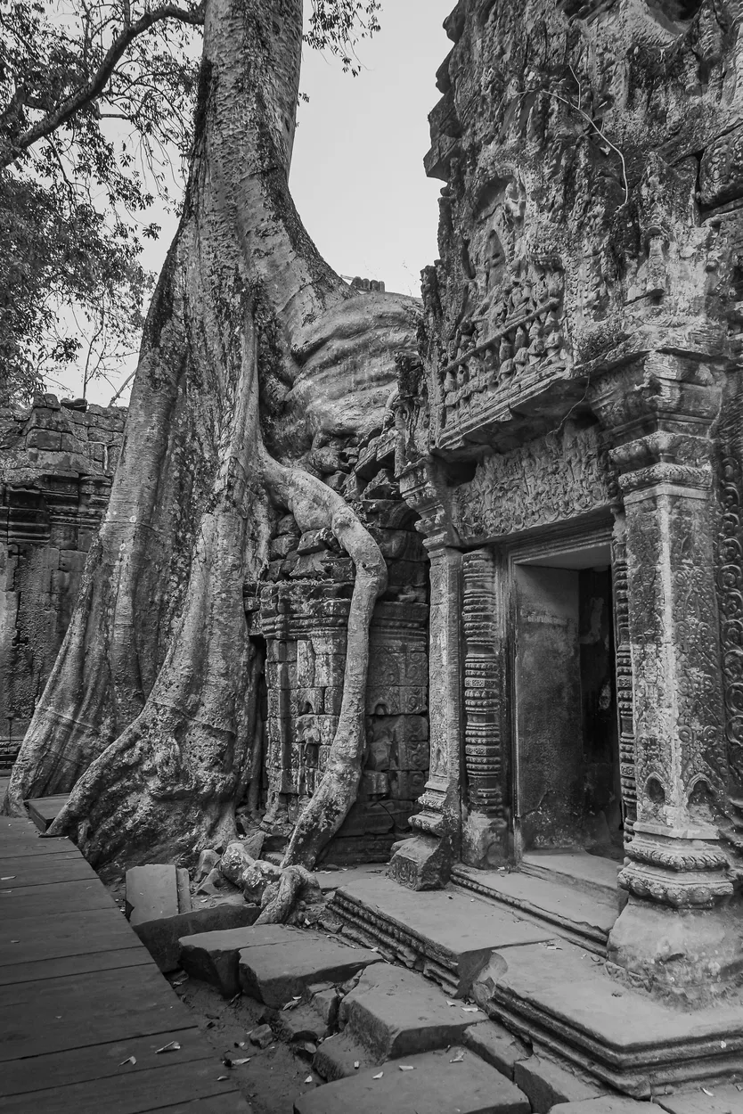 Entry 10581560