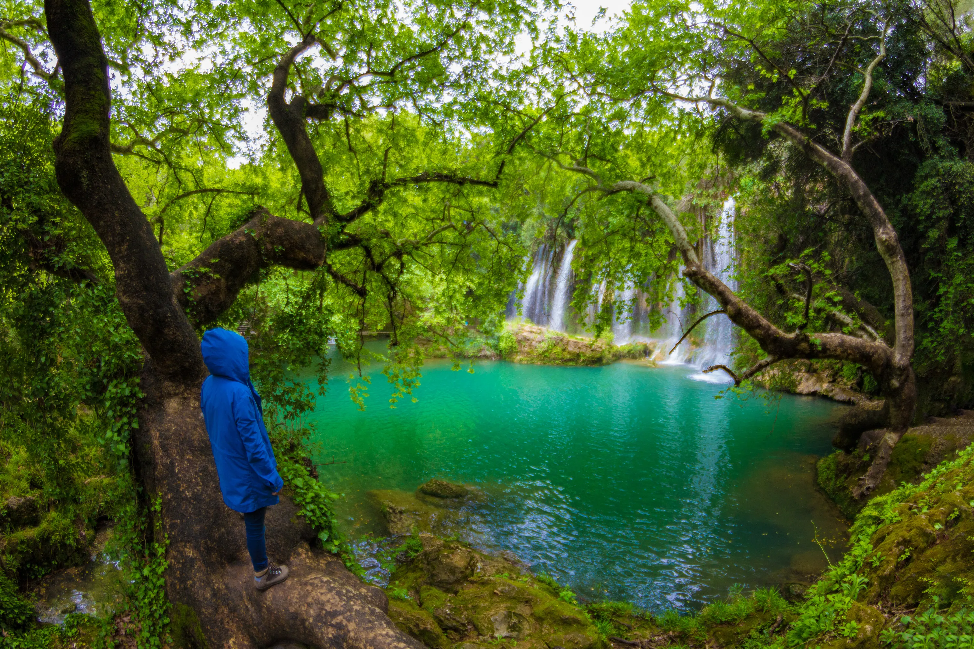 Feel the nature.