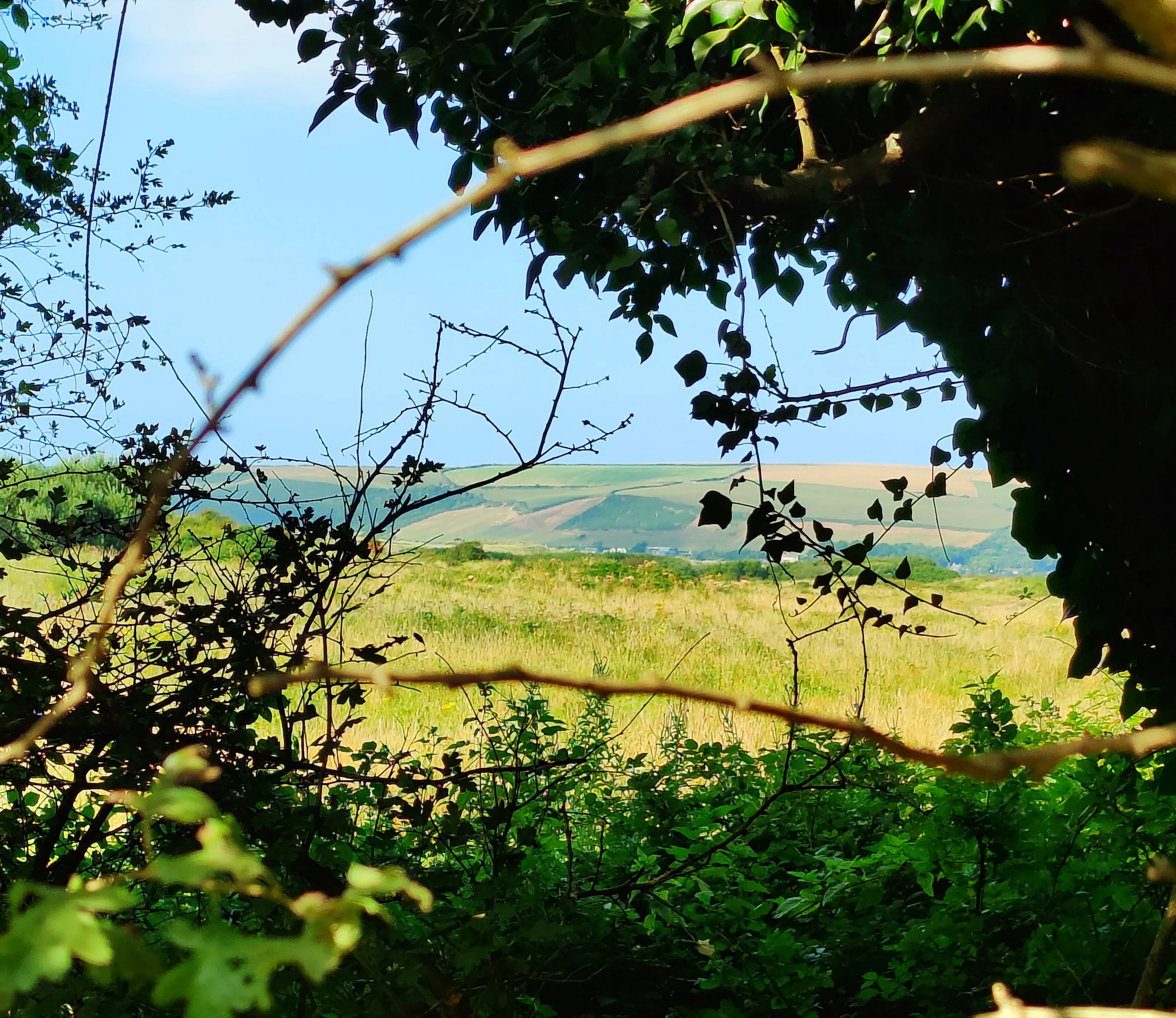 Naturally framed landscape