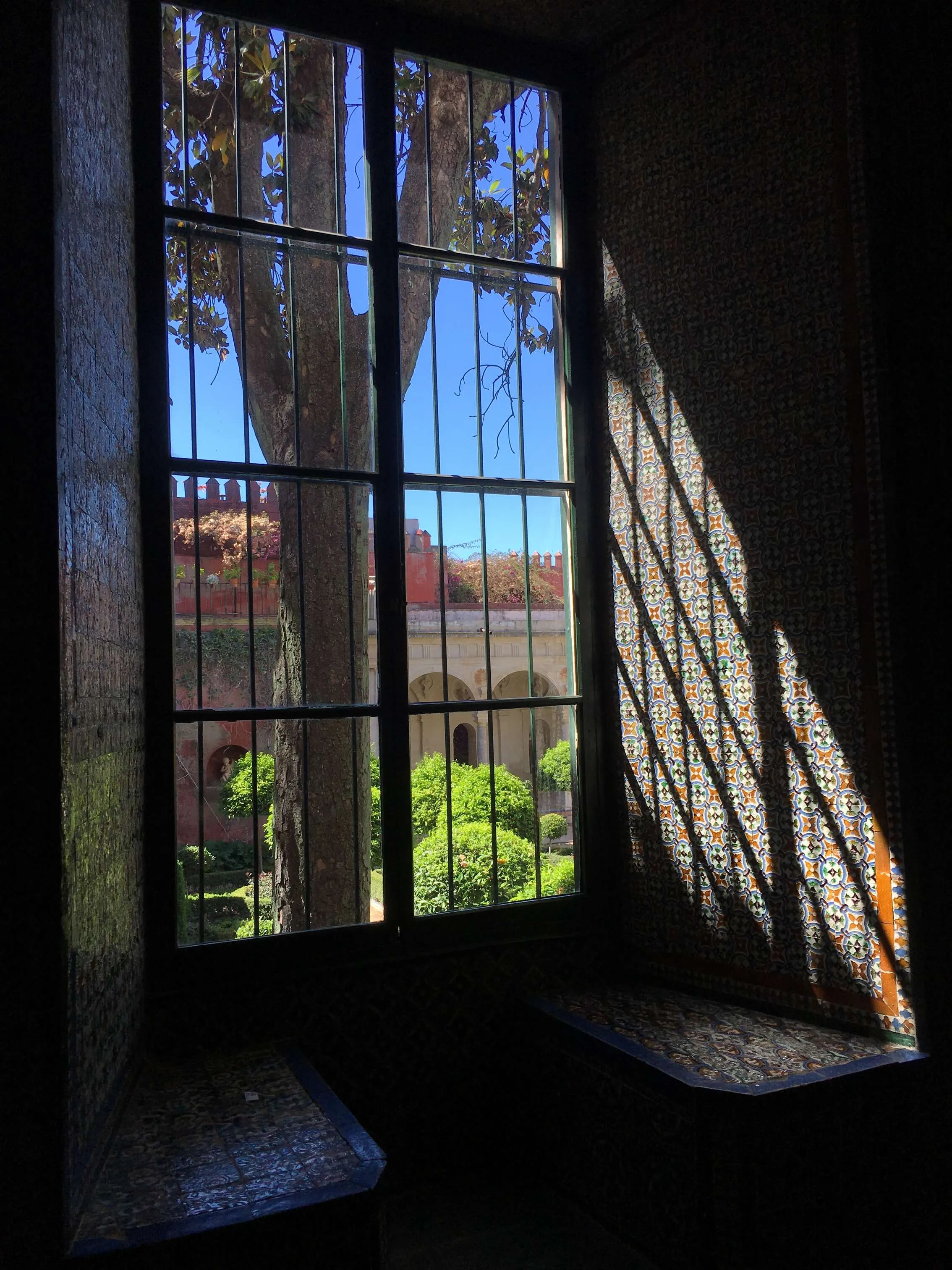 The window