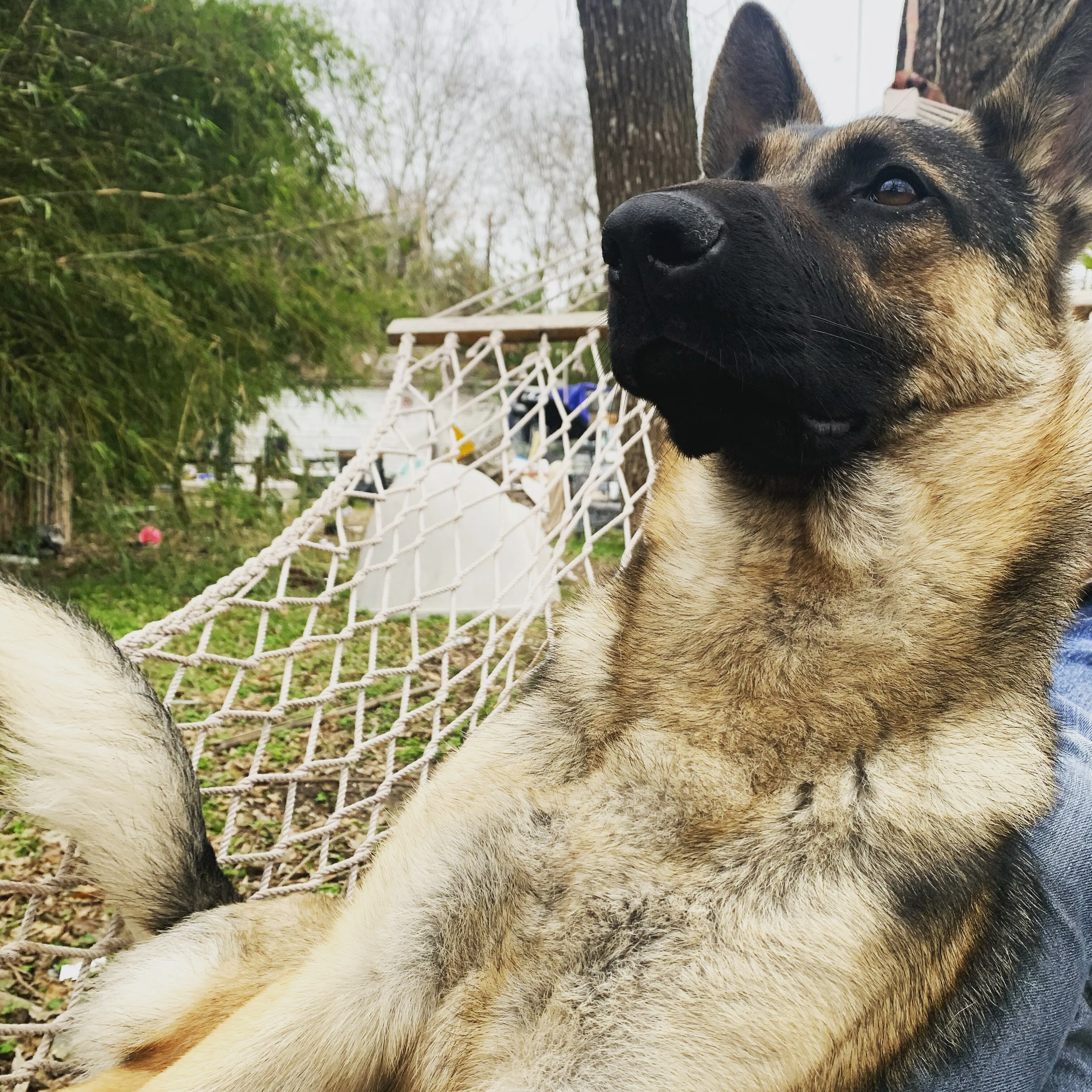 lily chilling
