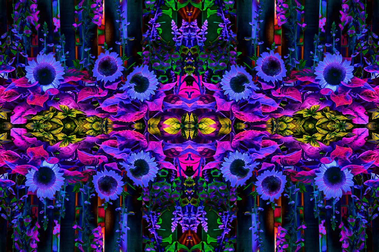 Entry 21777526
