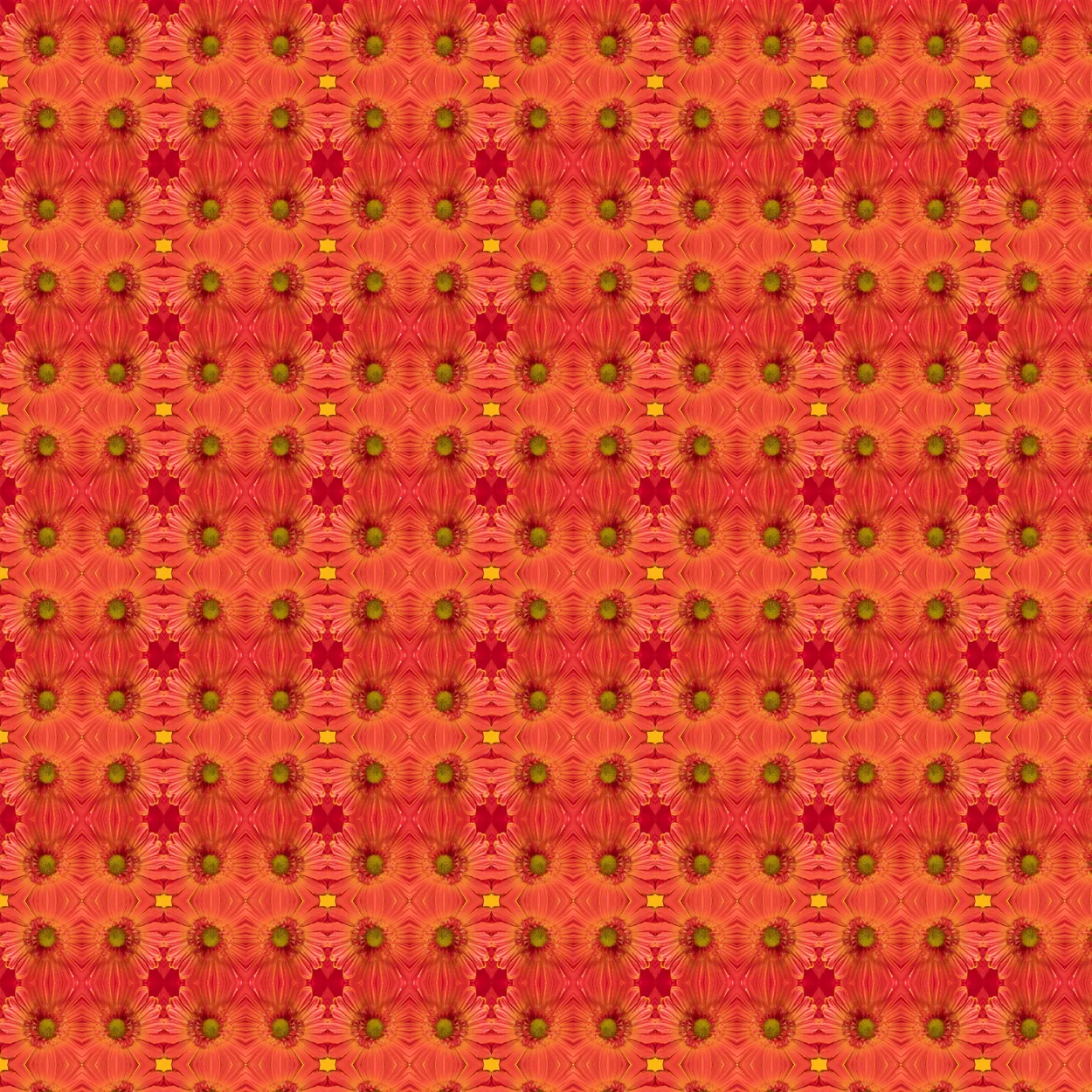 Entry 10601024
