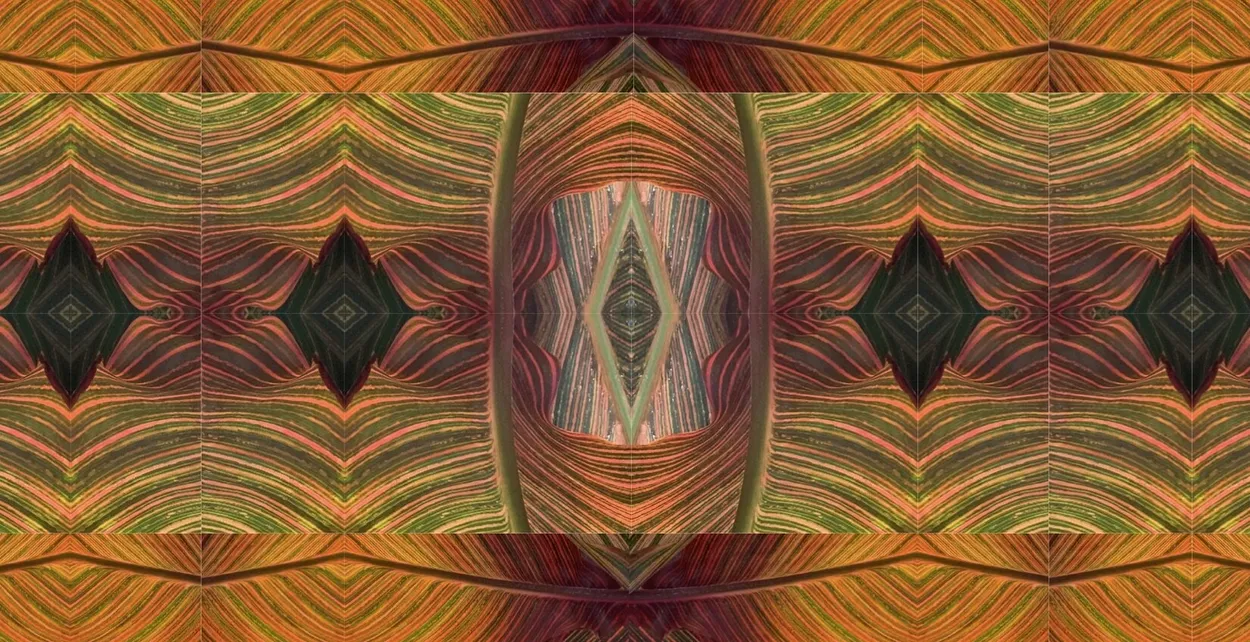 Entry 10601665