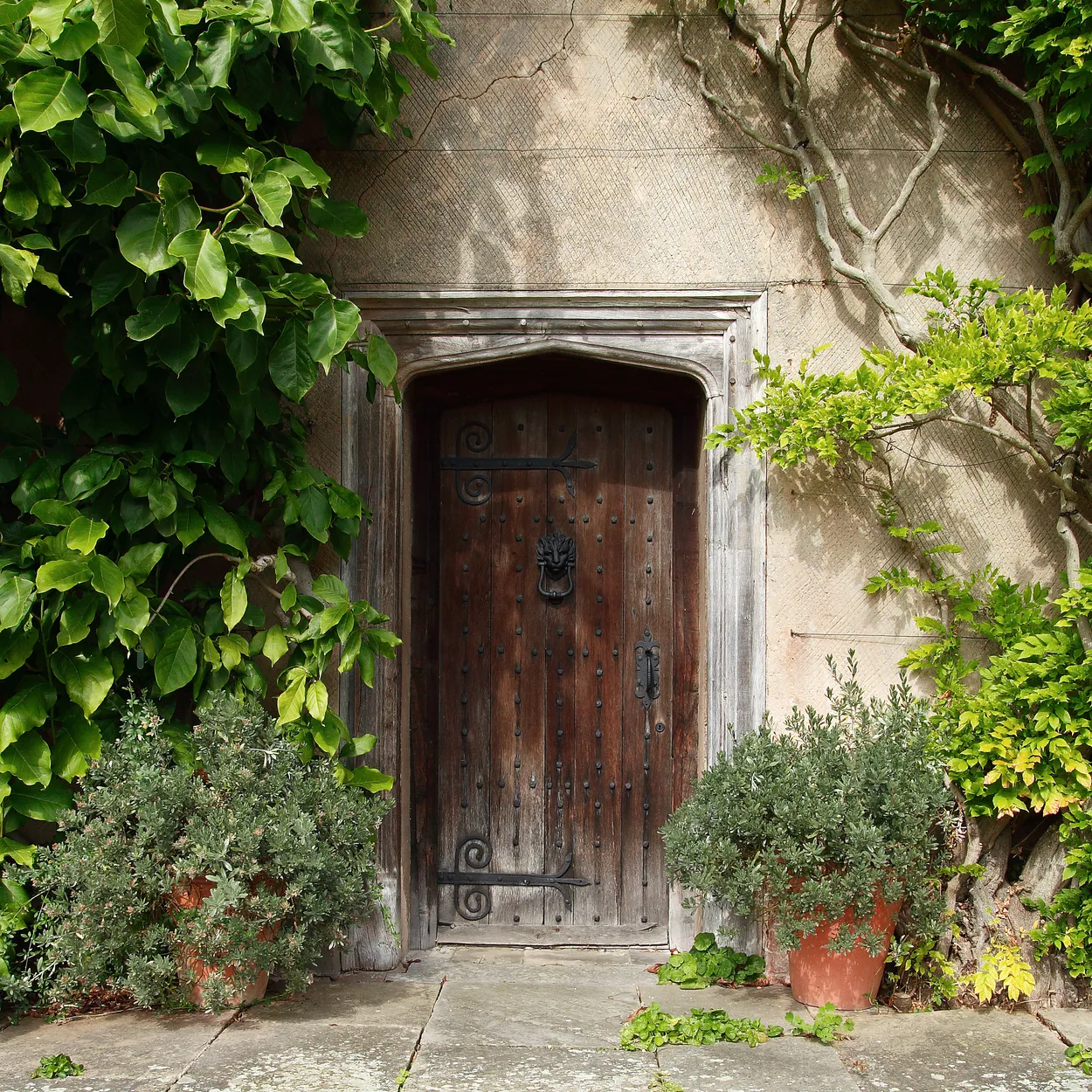 Entry 11104499