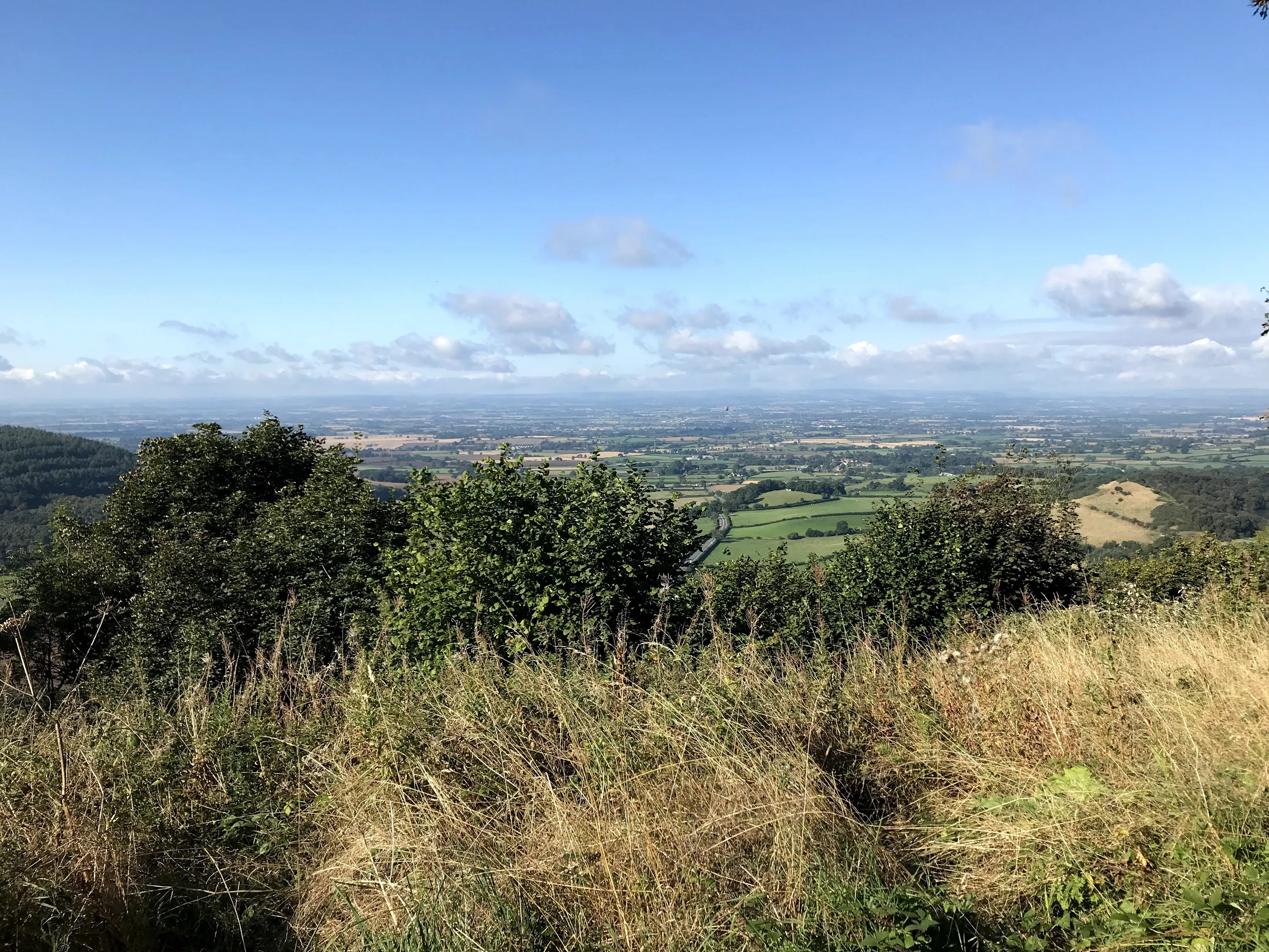 The Vale of York