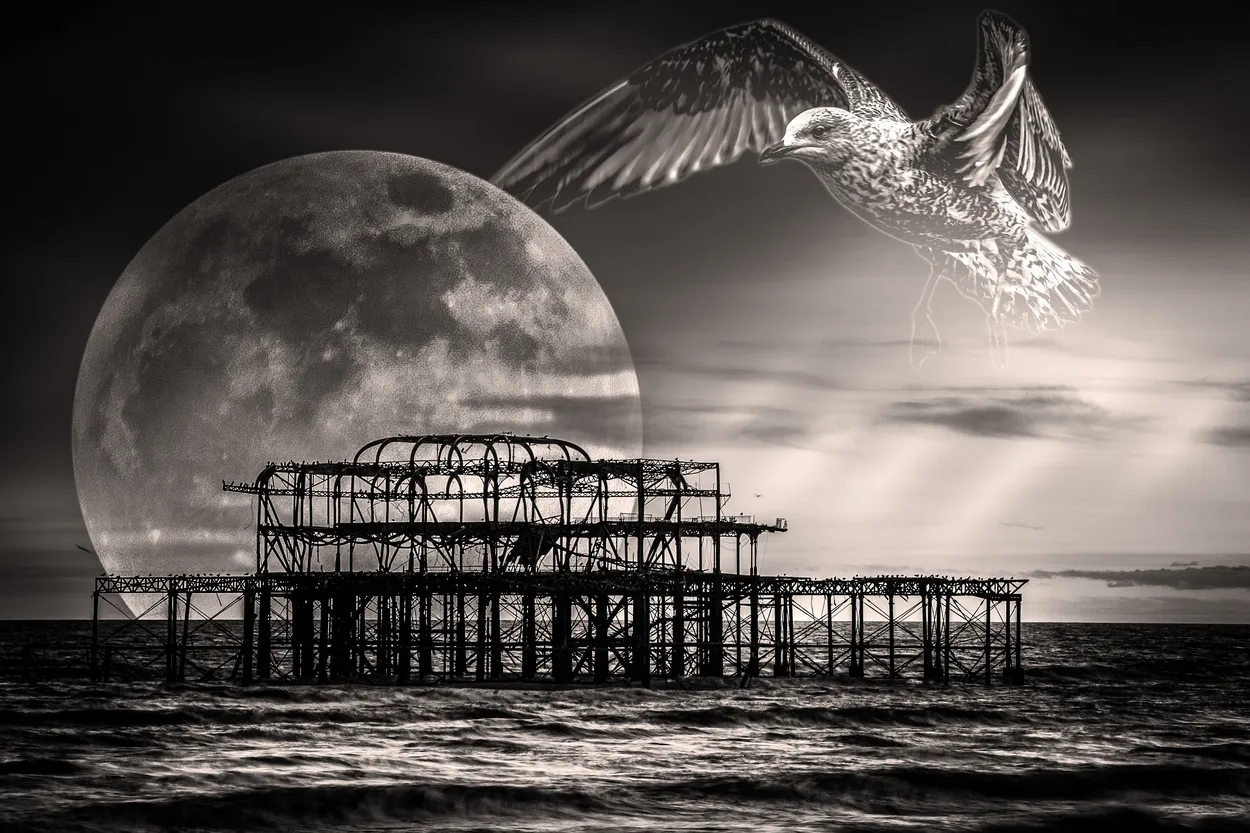 Entry 10604769