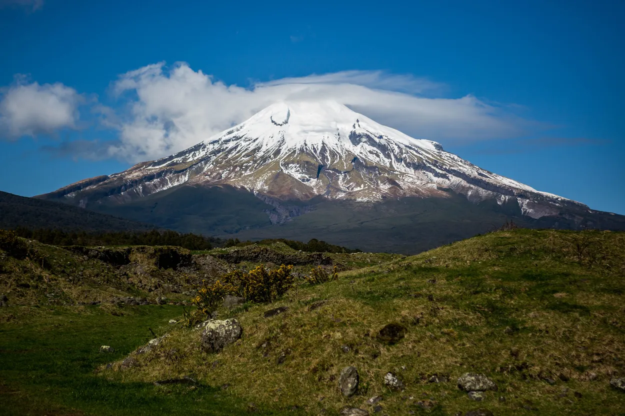 Entry 10607562