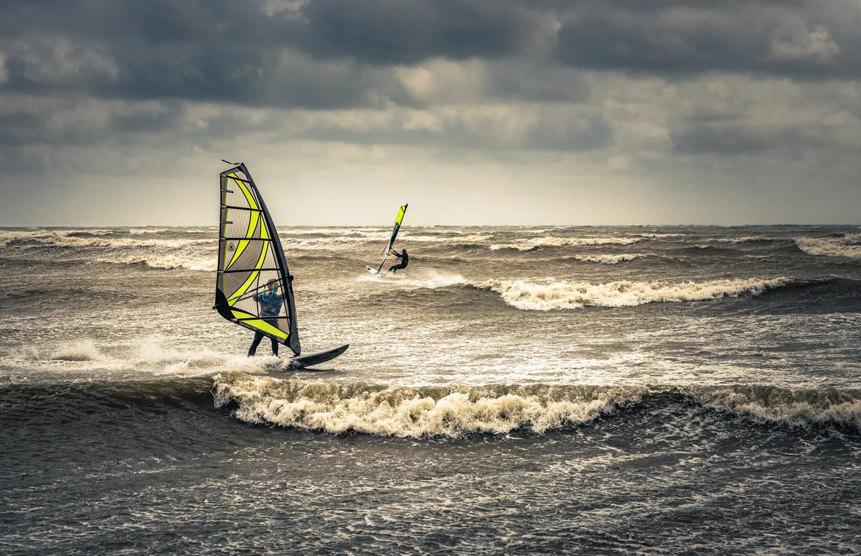 Entry 23231881
