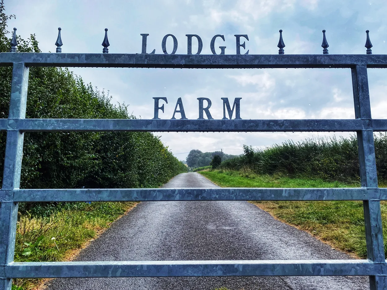 Entry 10610600