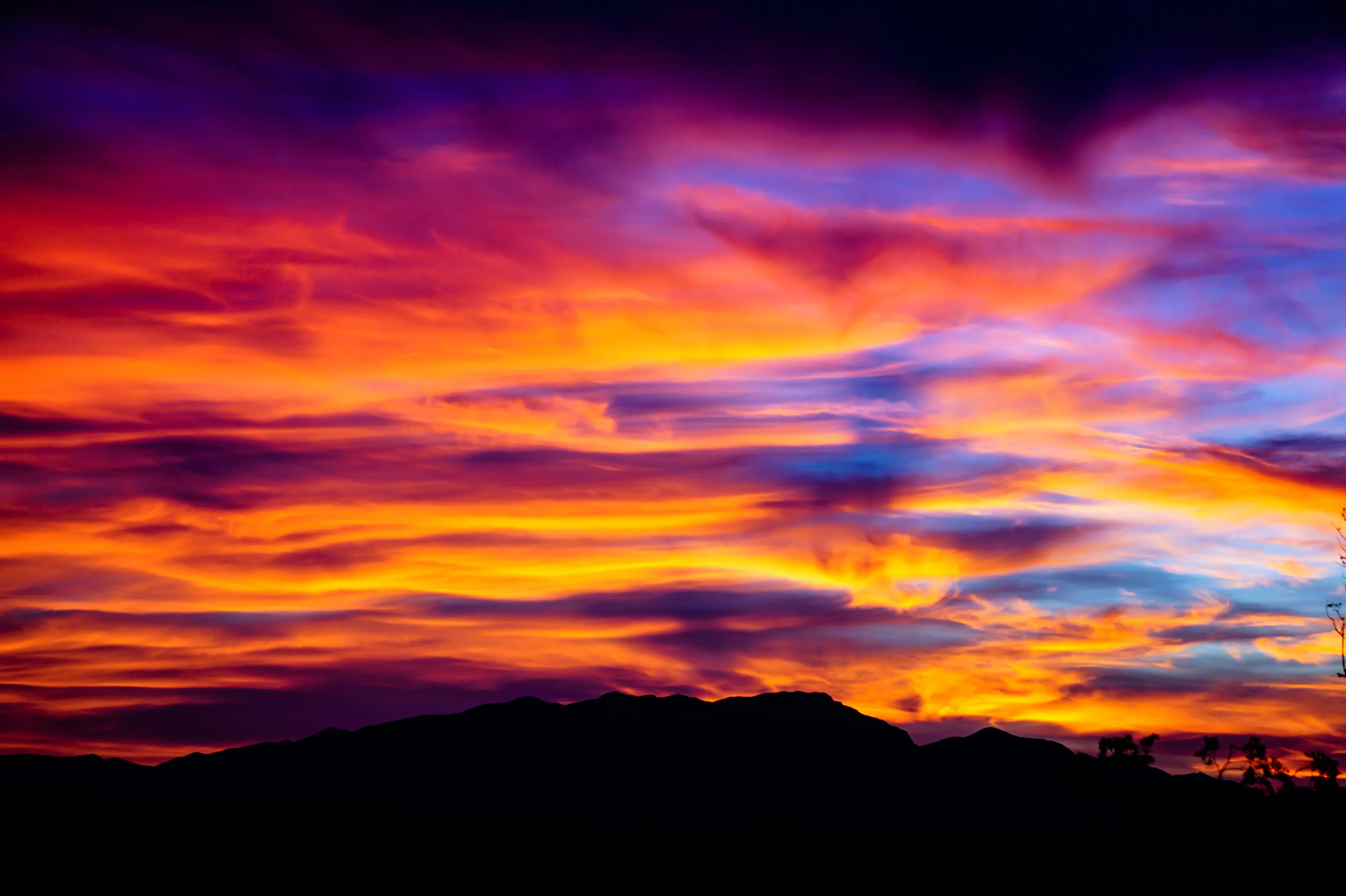 I dream of pastel skies when the sun cries