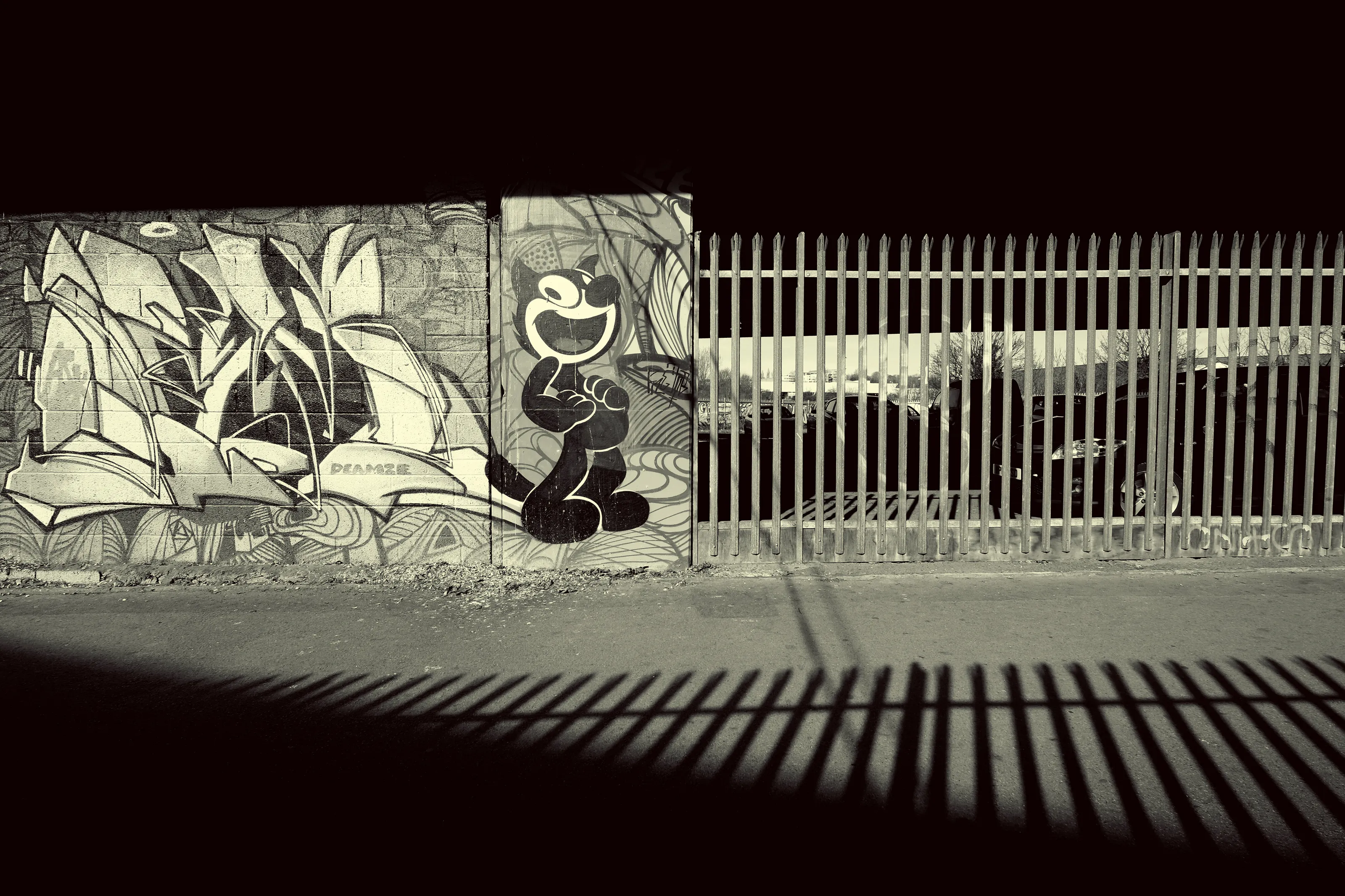 Black Cat under the Motorway