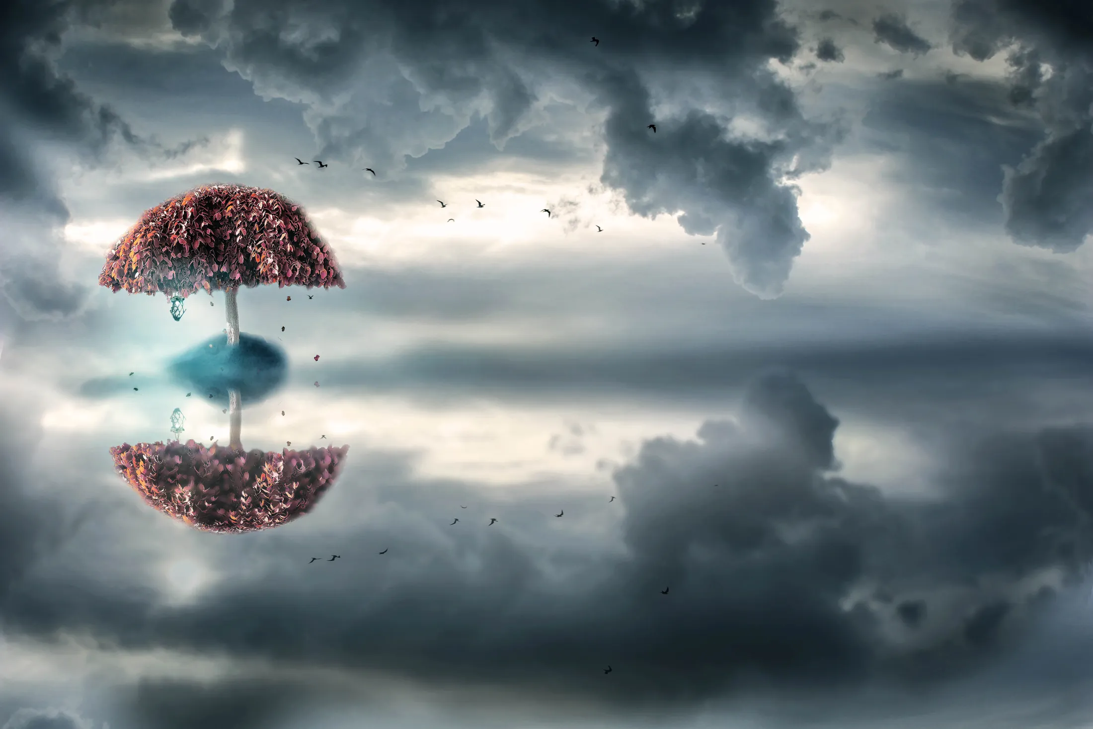 Reflect