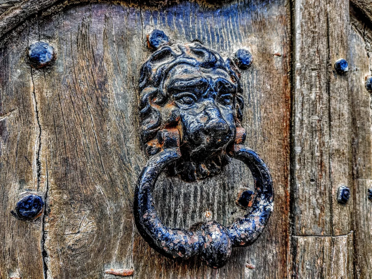 Entry 18999725