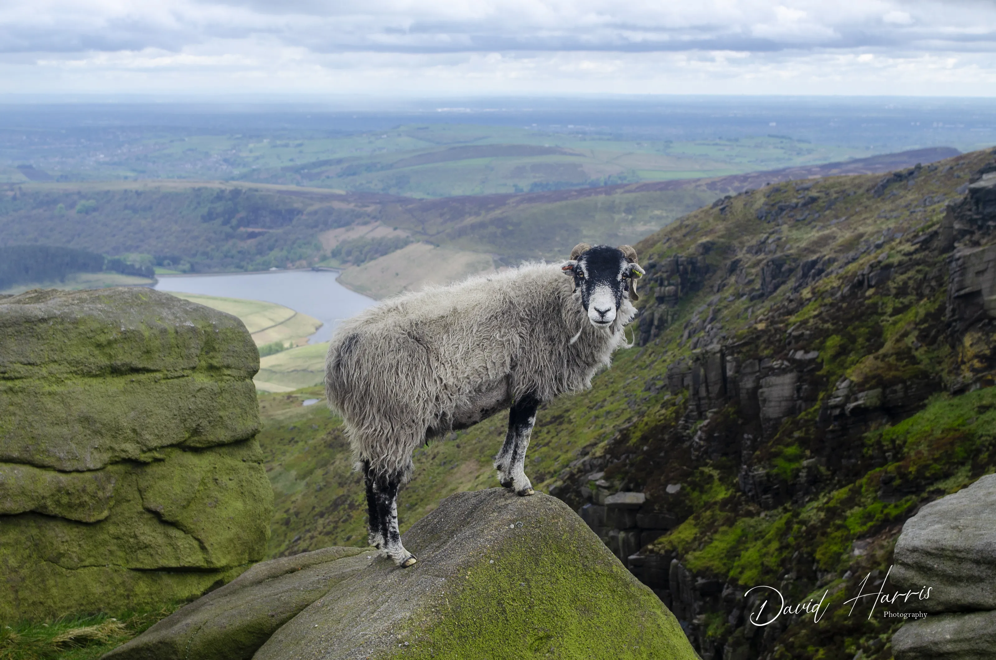 On The Edge
