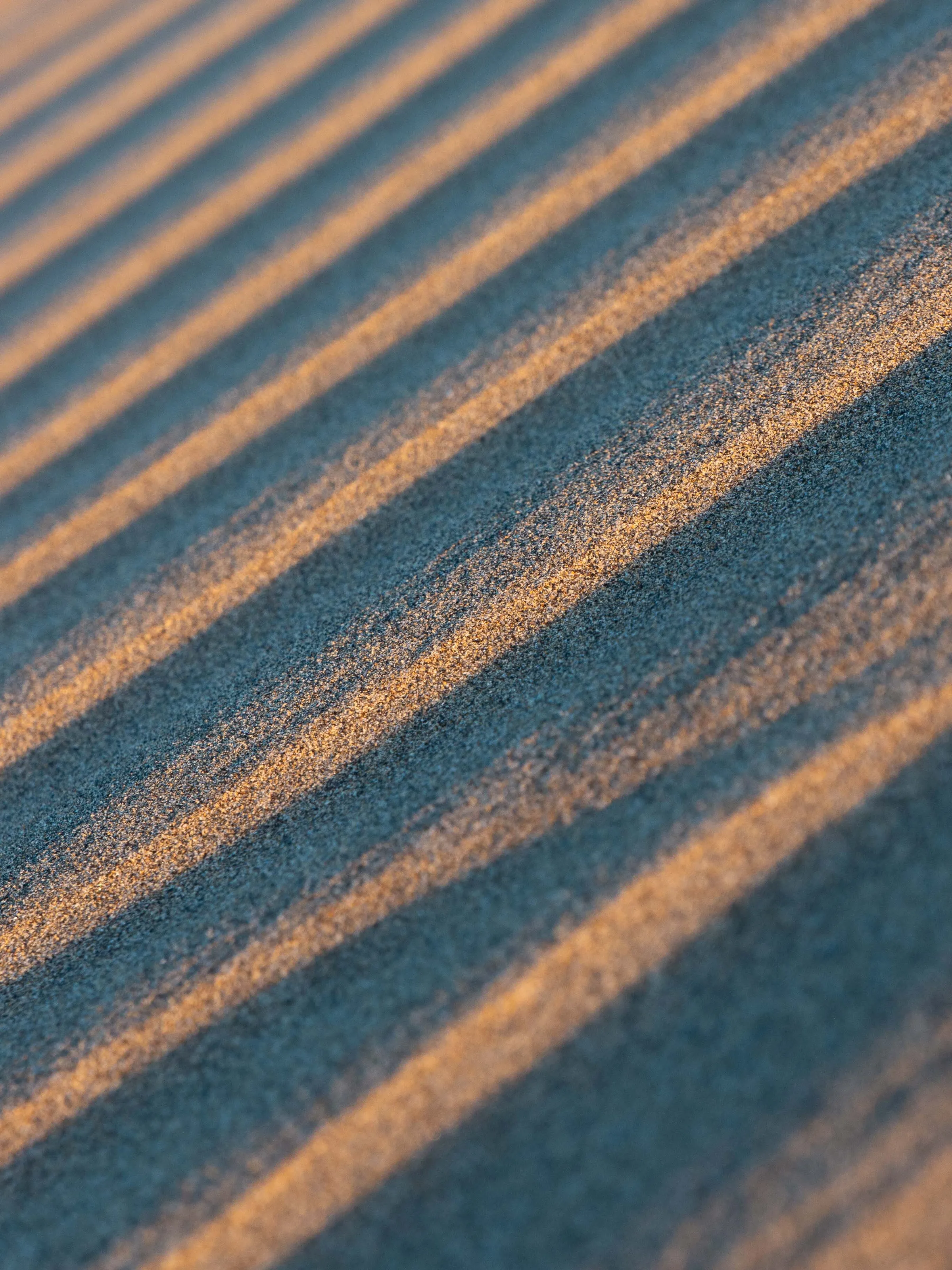 Sandy lines