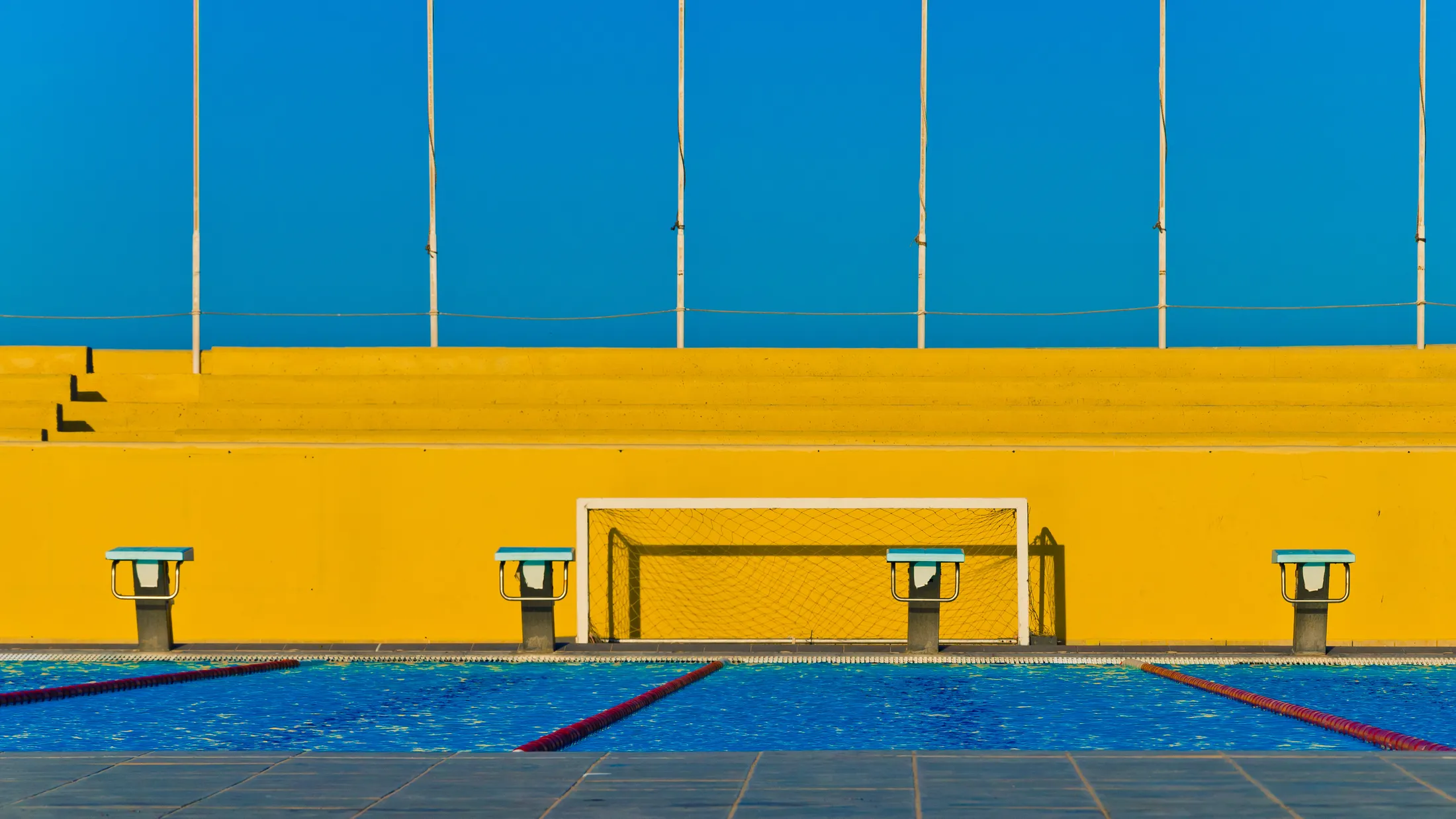 Entry 10646983