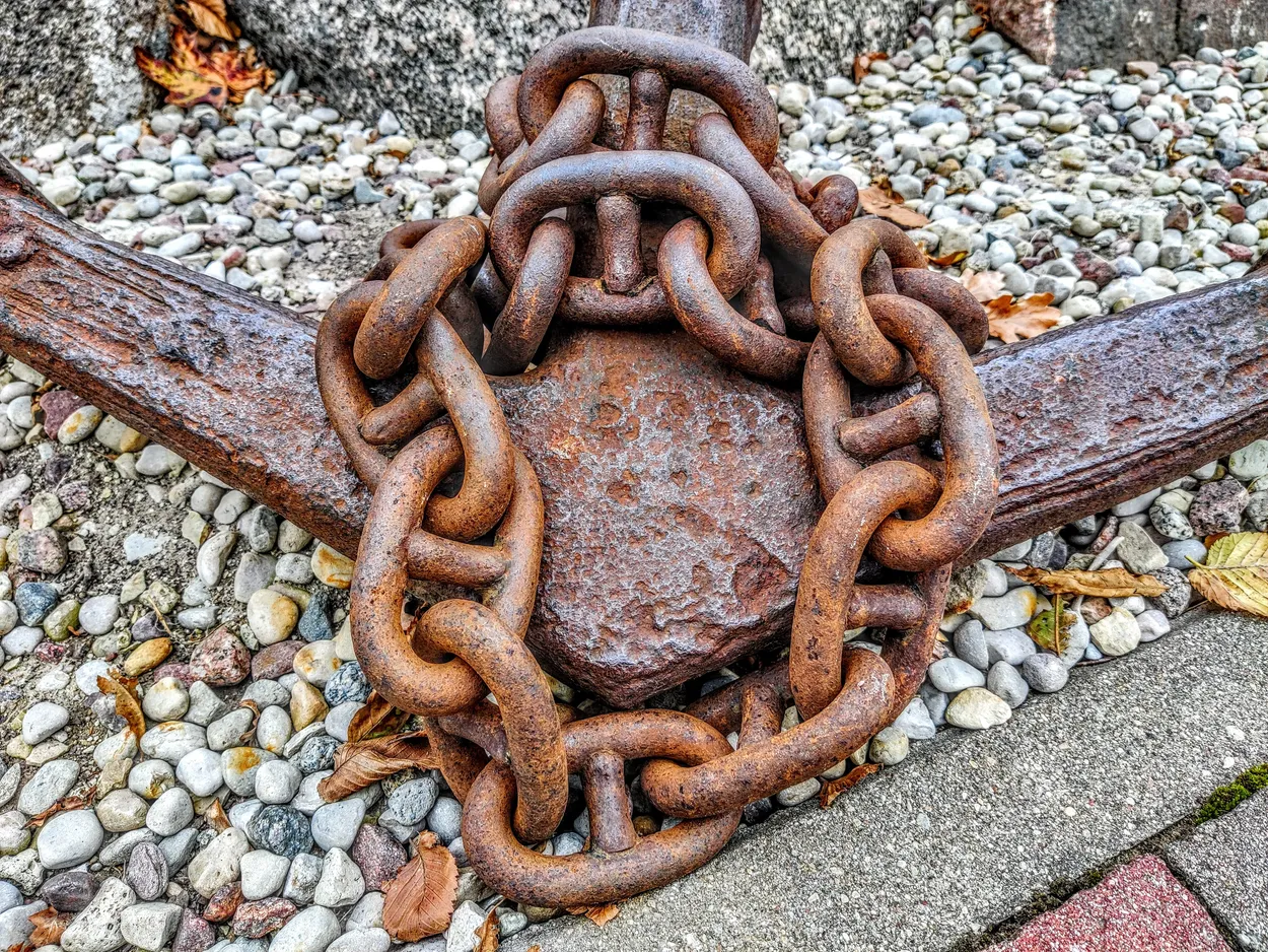 Entry 19352584