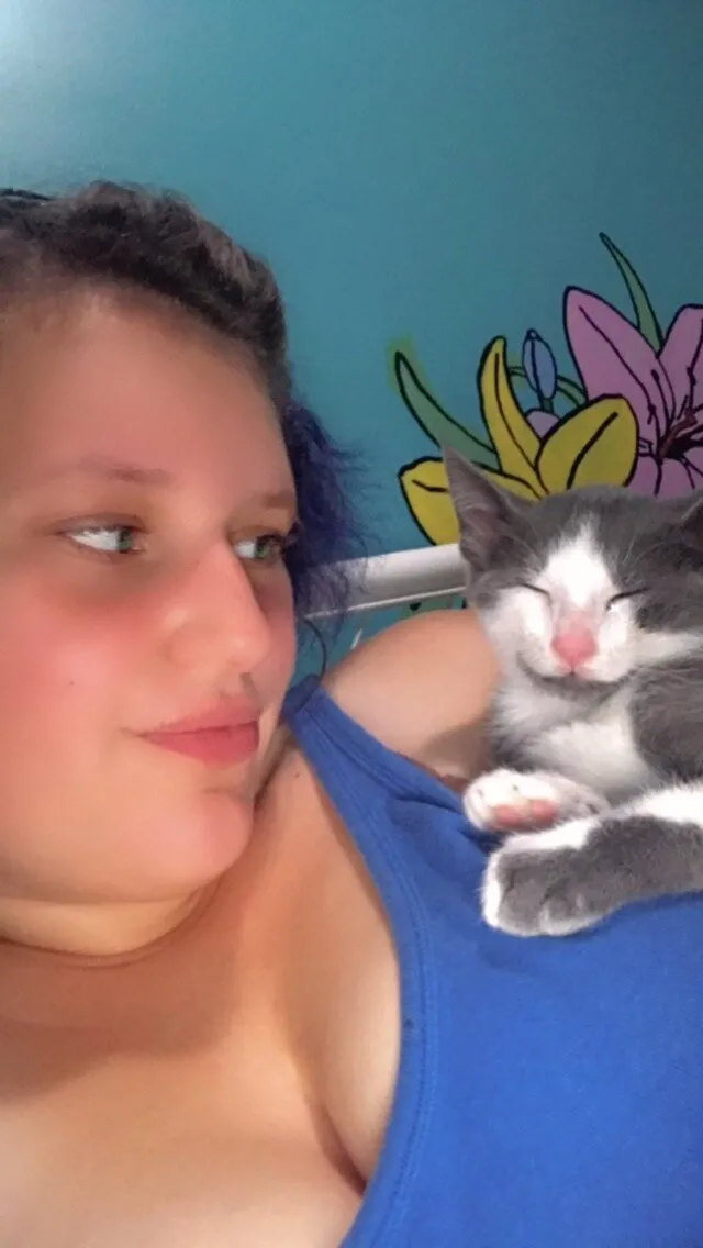 Kitten cuddles
