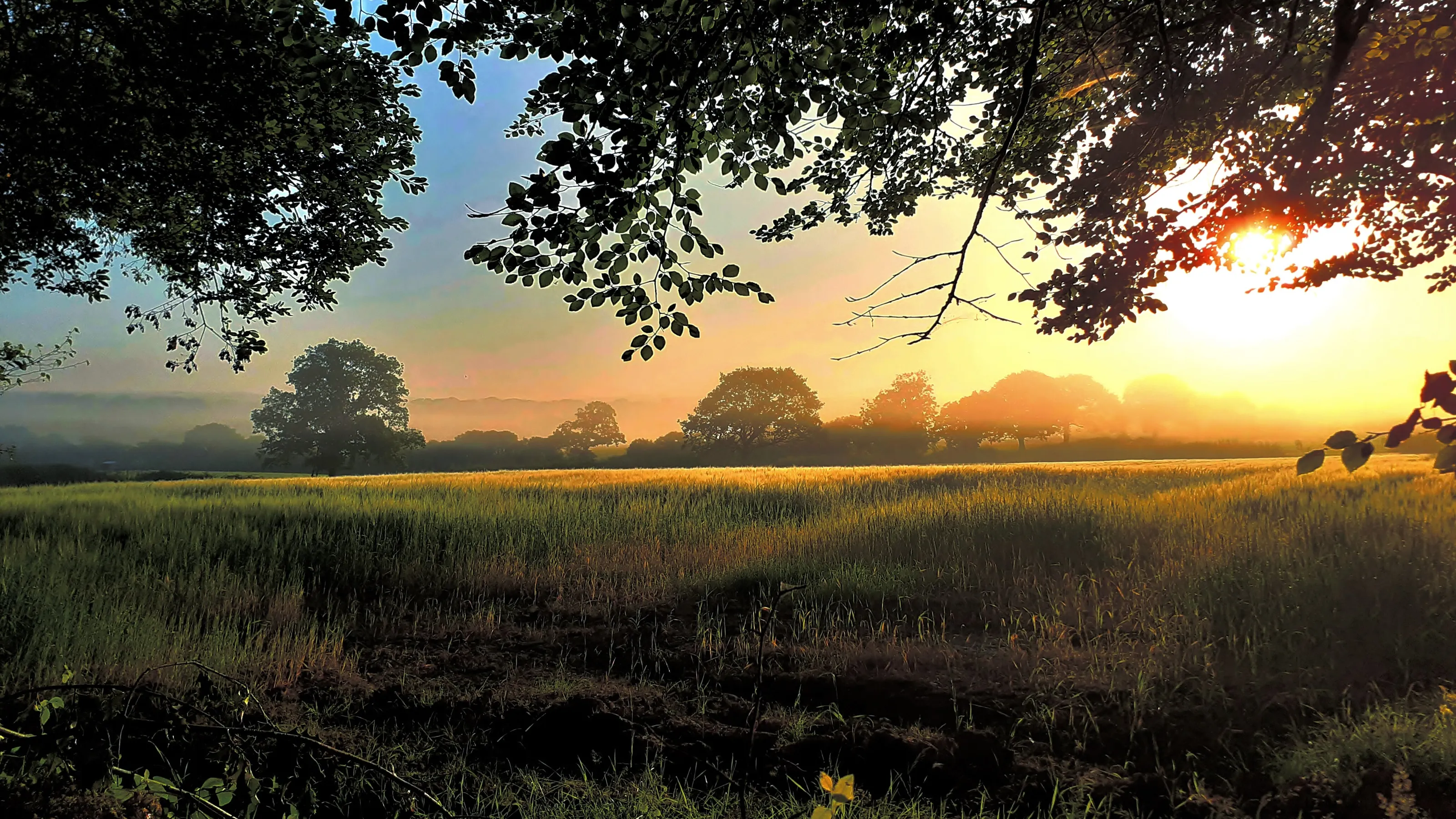 North Devon sunrise