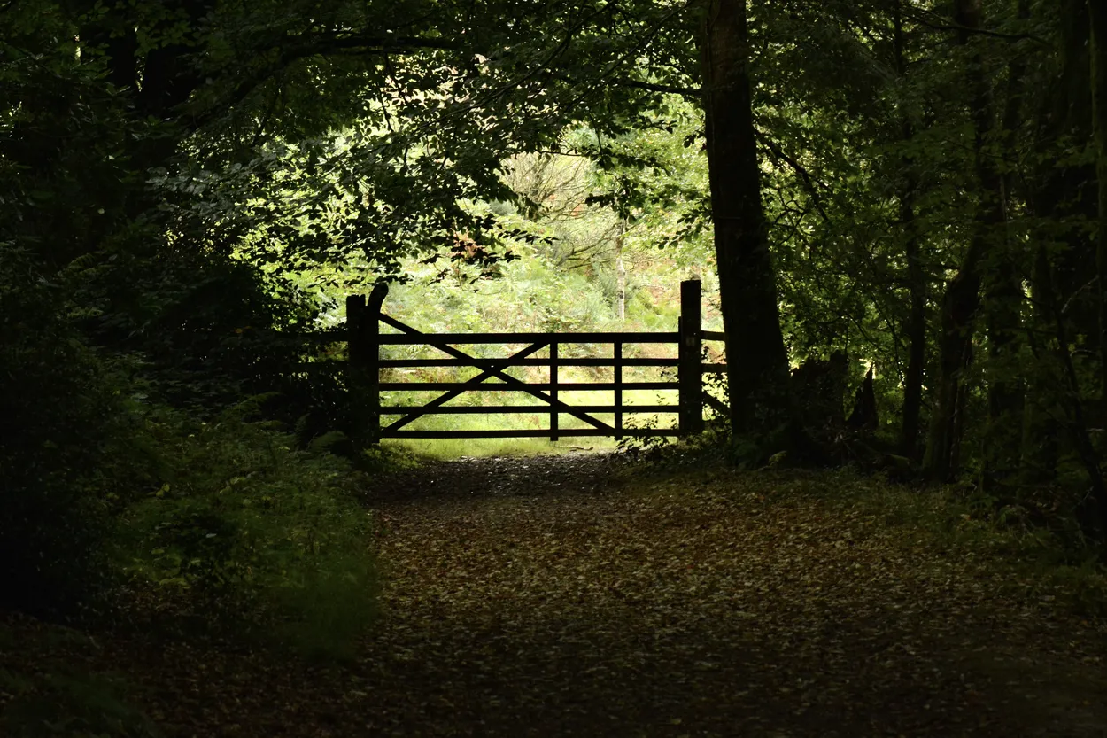 Entry 20100332