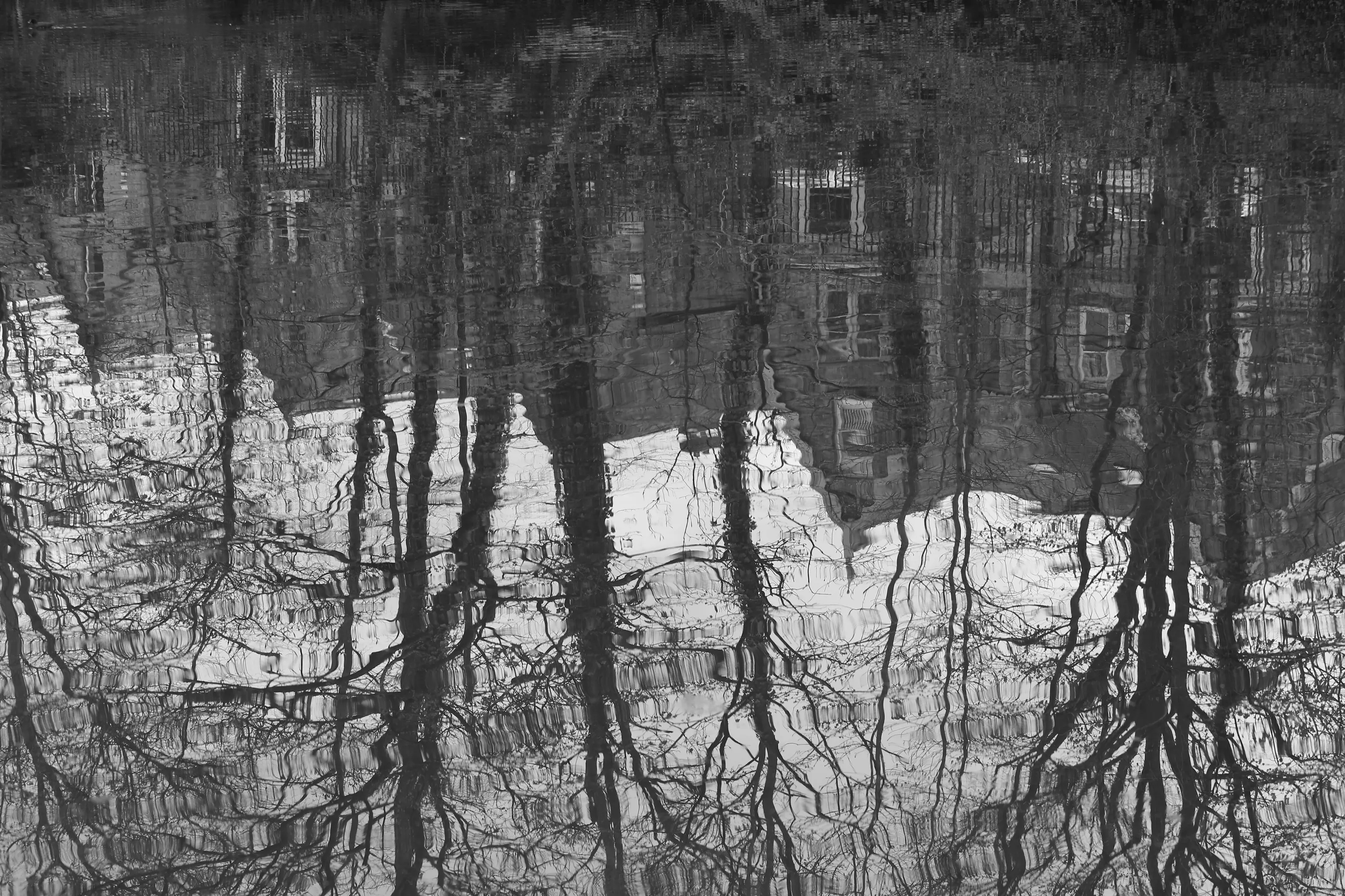 Reflection