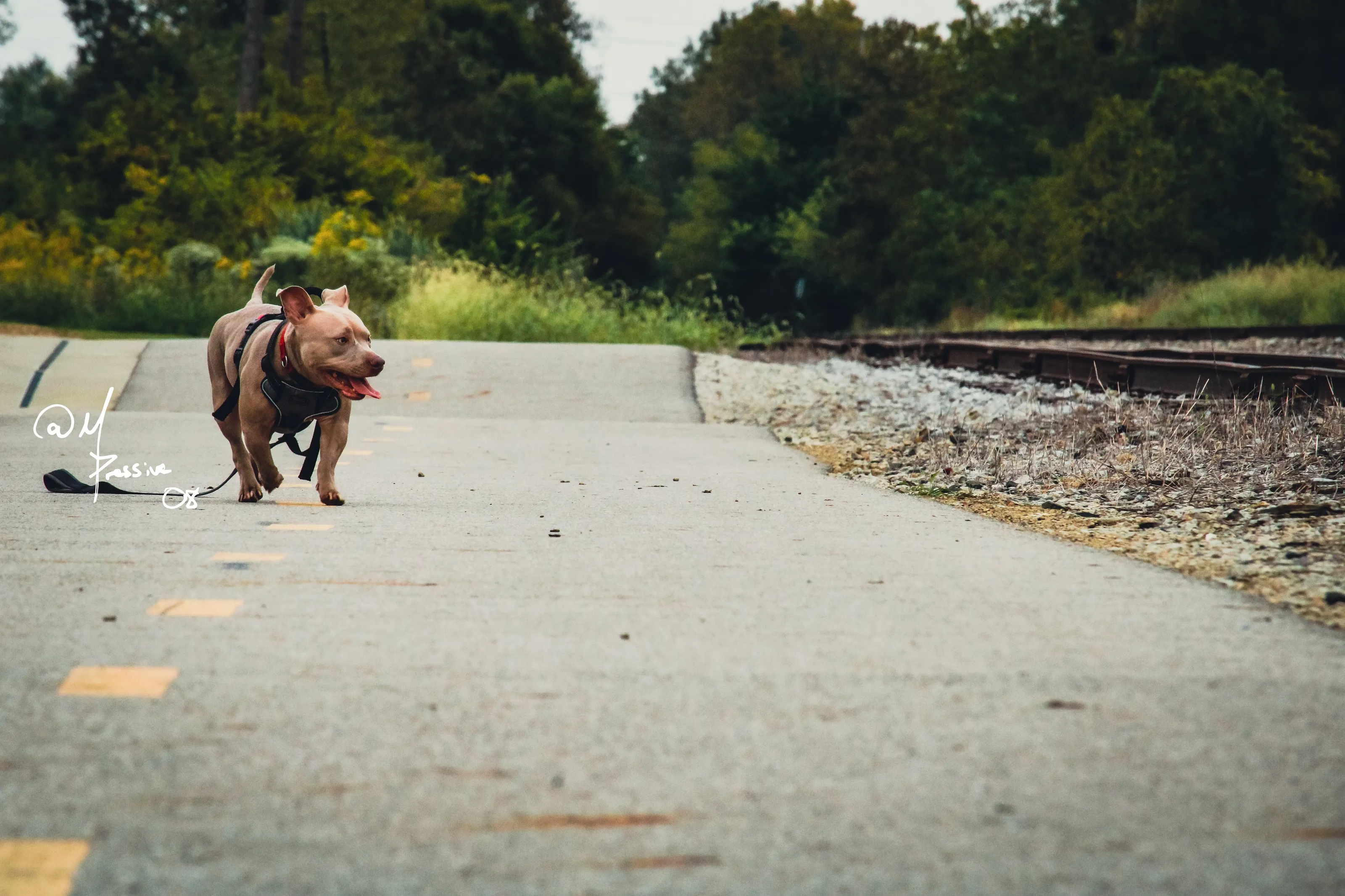 Trails to travel