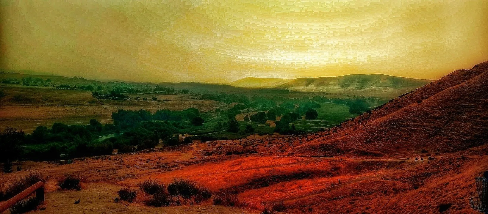 Golden Sky on a Dusky Day