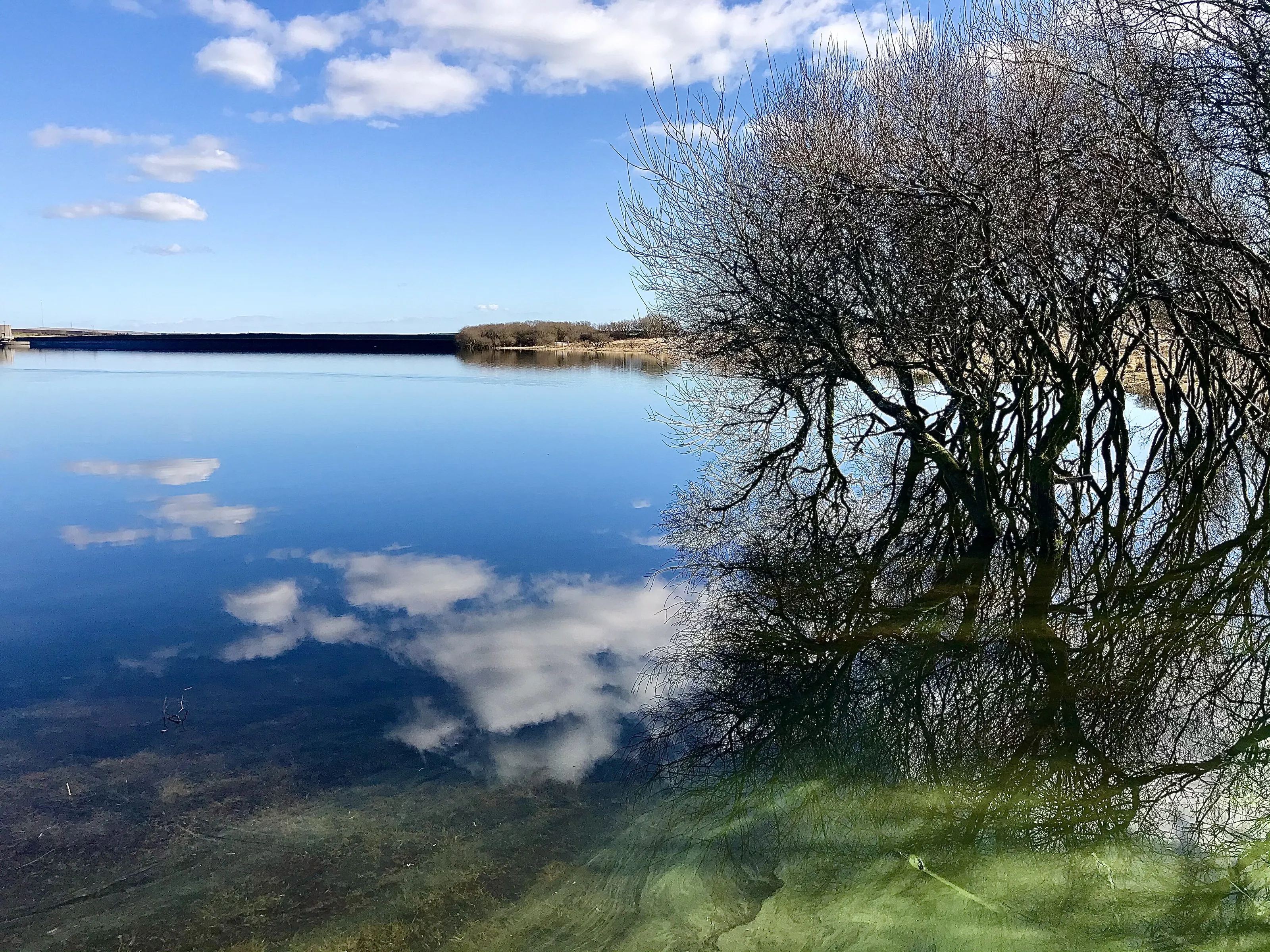 Colliford Lake, Cornwall