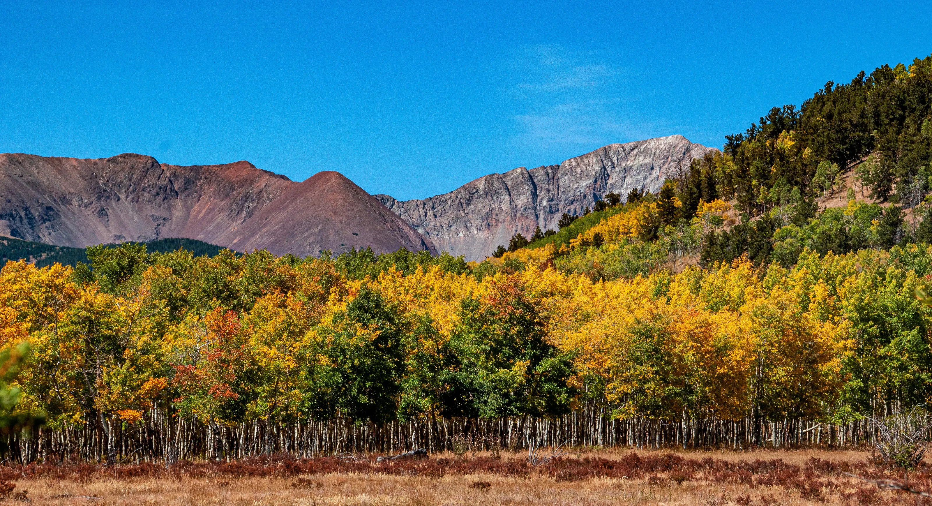 Colorado Color