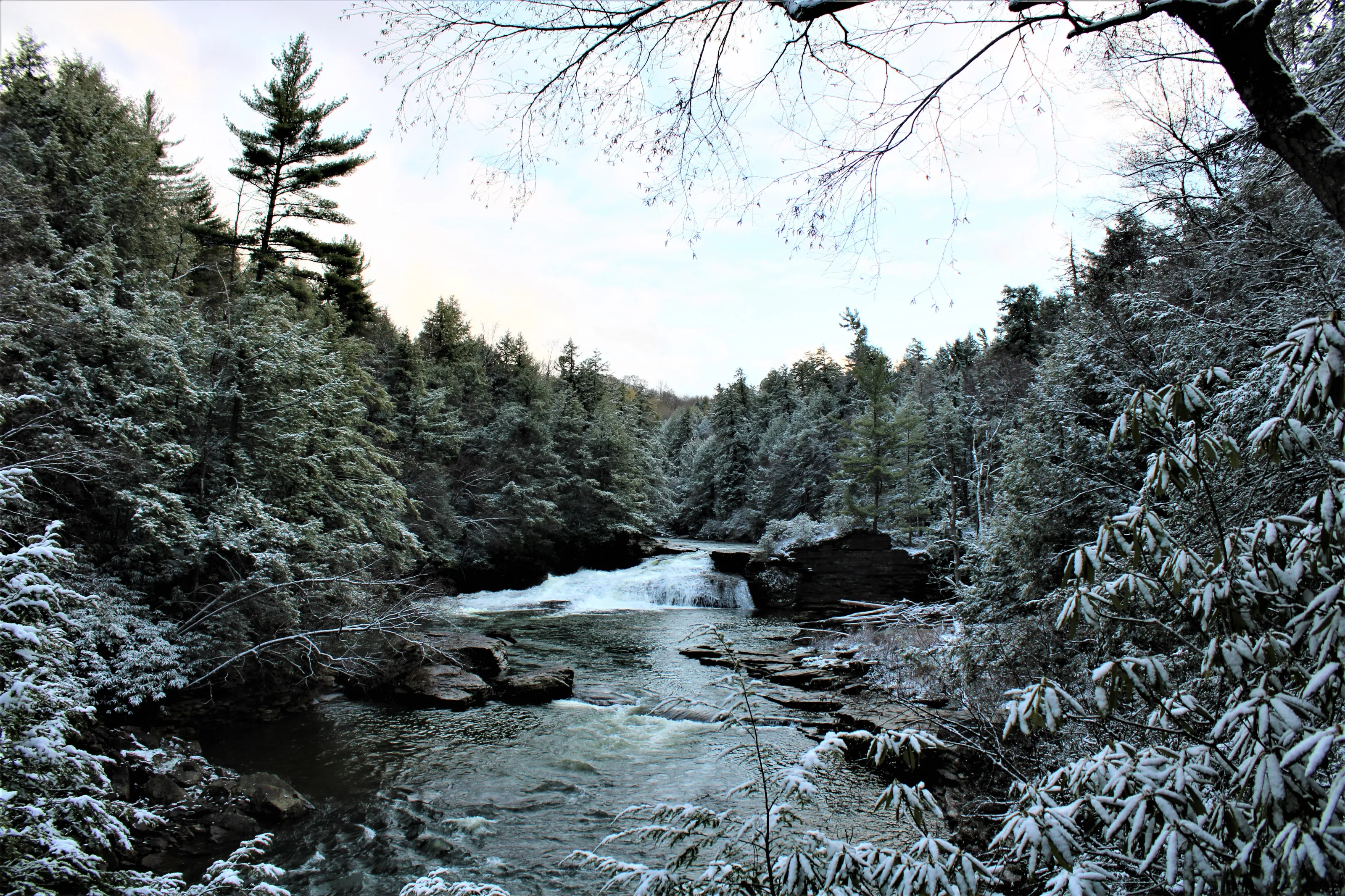 Winter Day