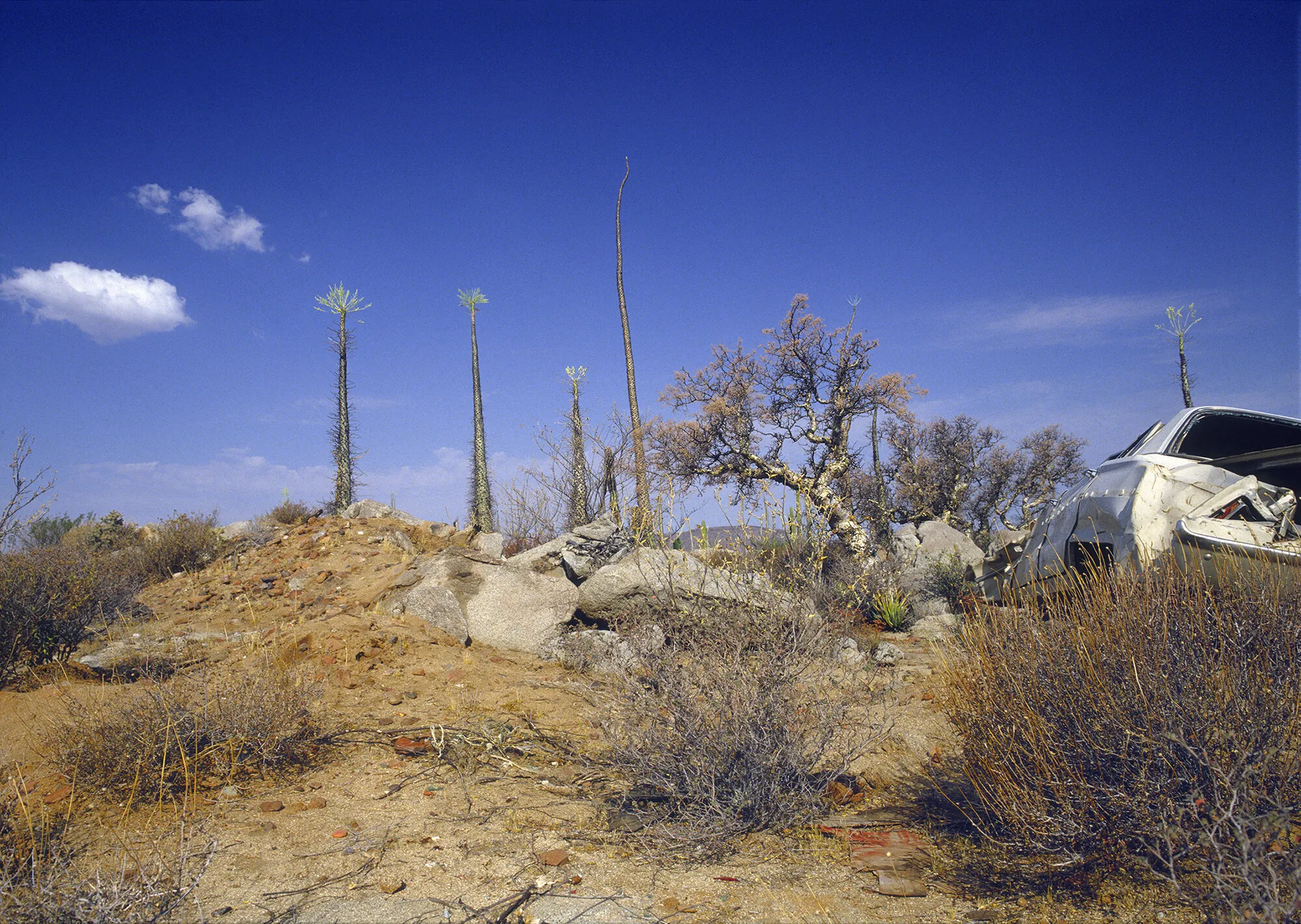 Violent Landscape with Car Wreck