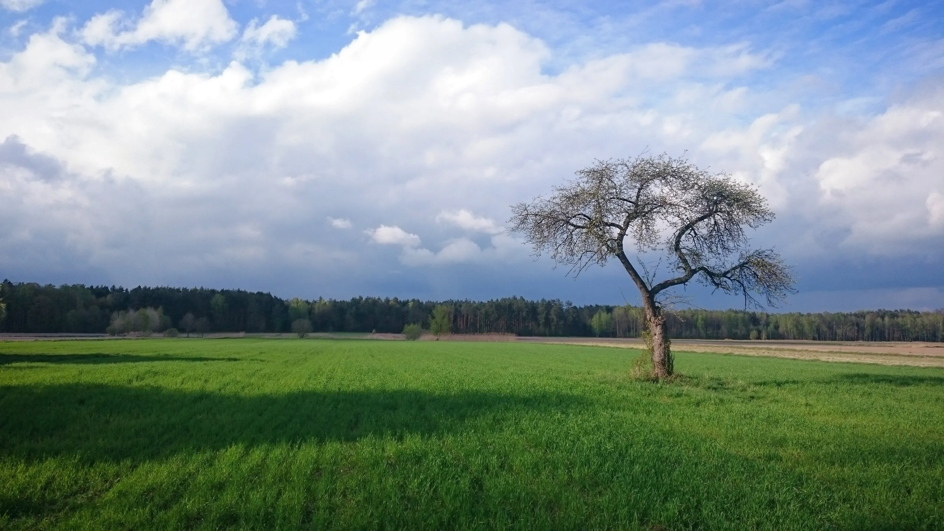 Nature