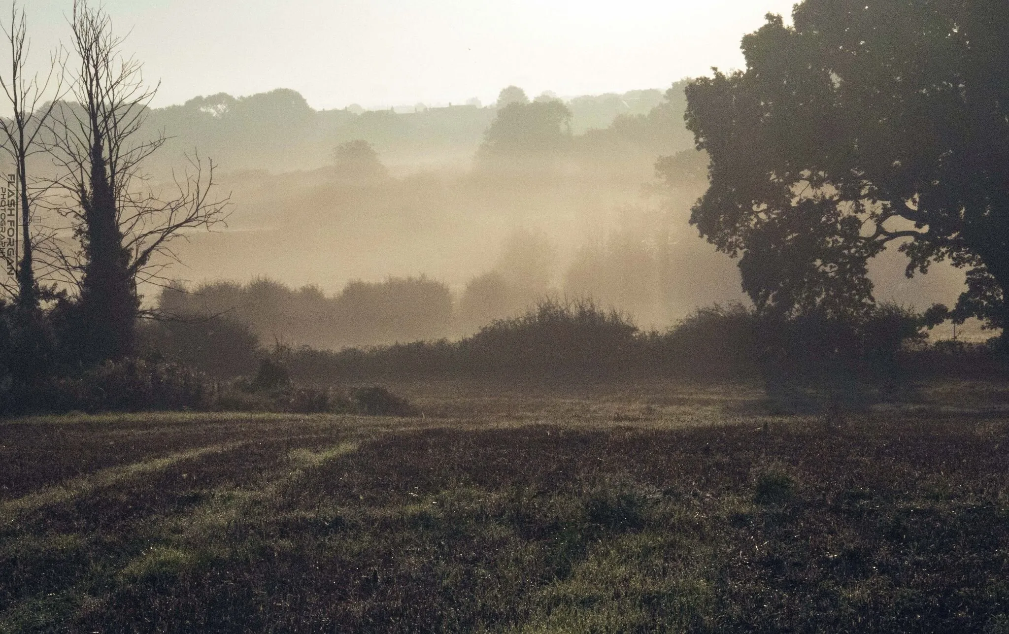 Misty Morning