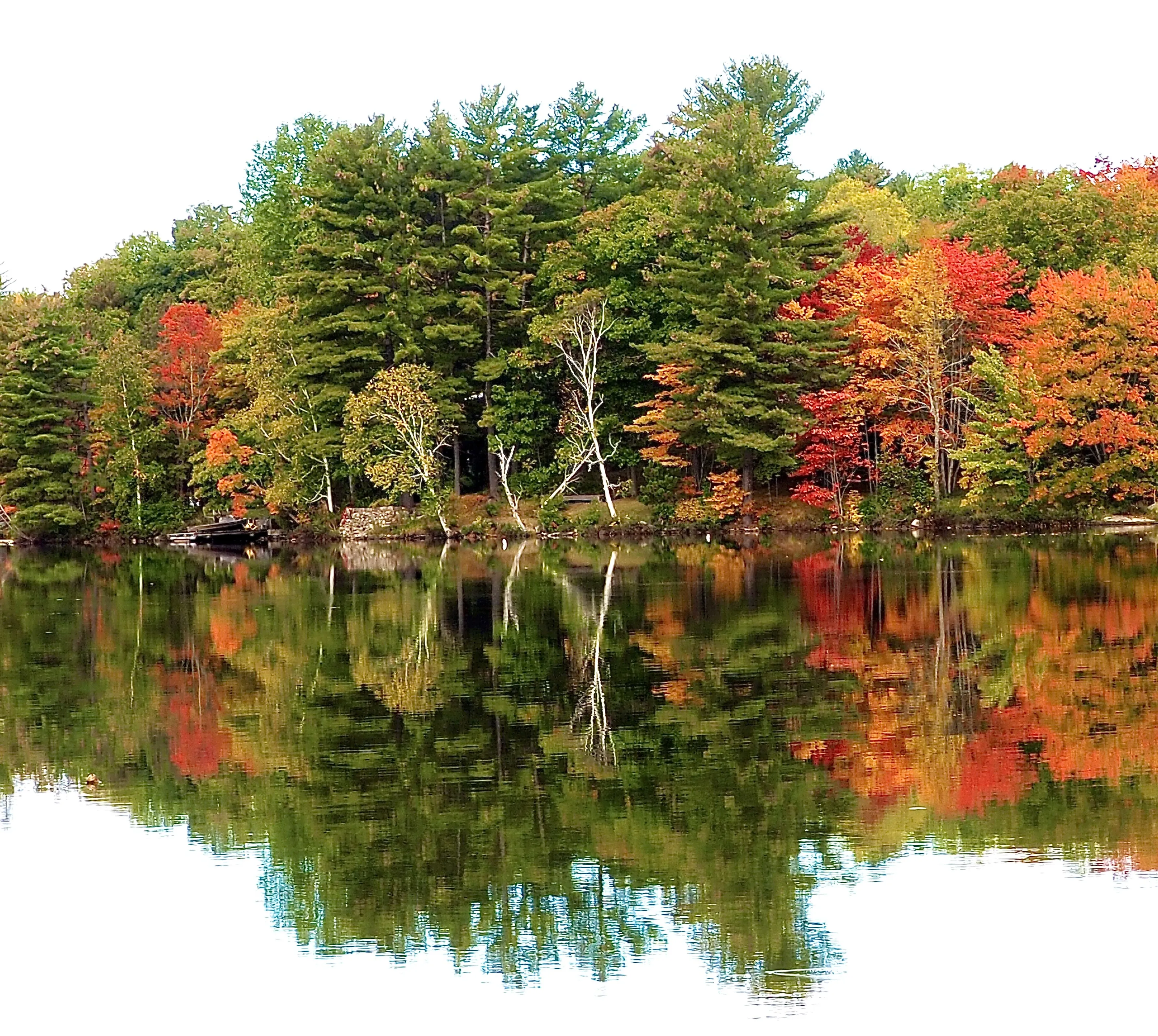 Reflections of Autumn