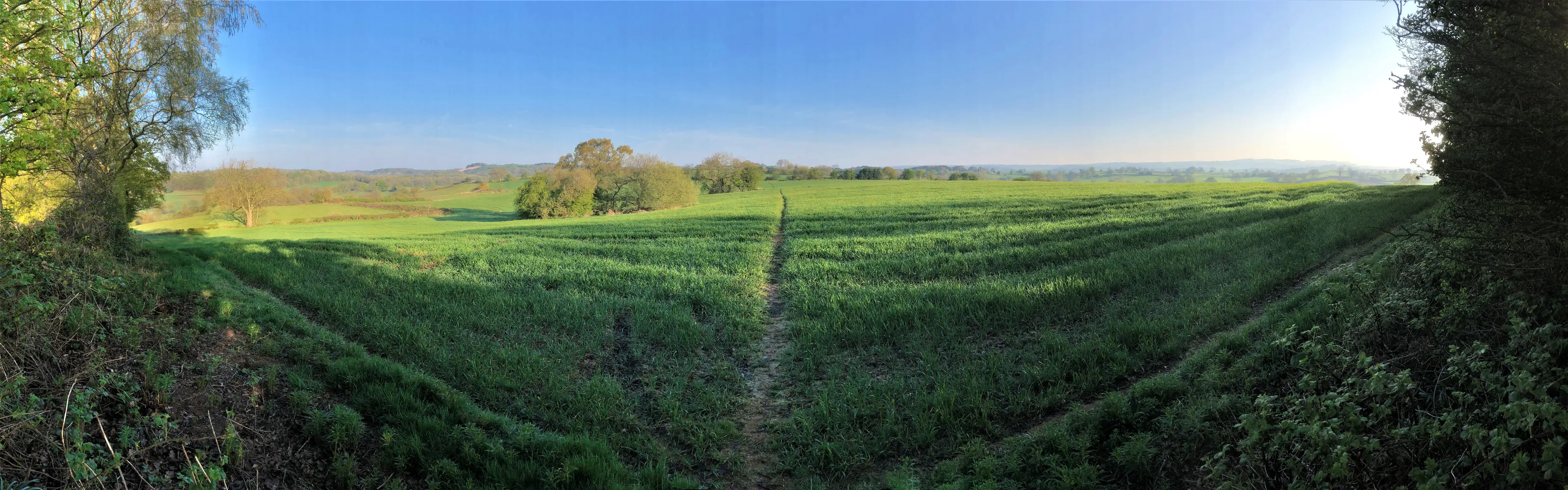 Which Path To Take ?