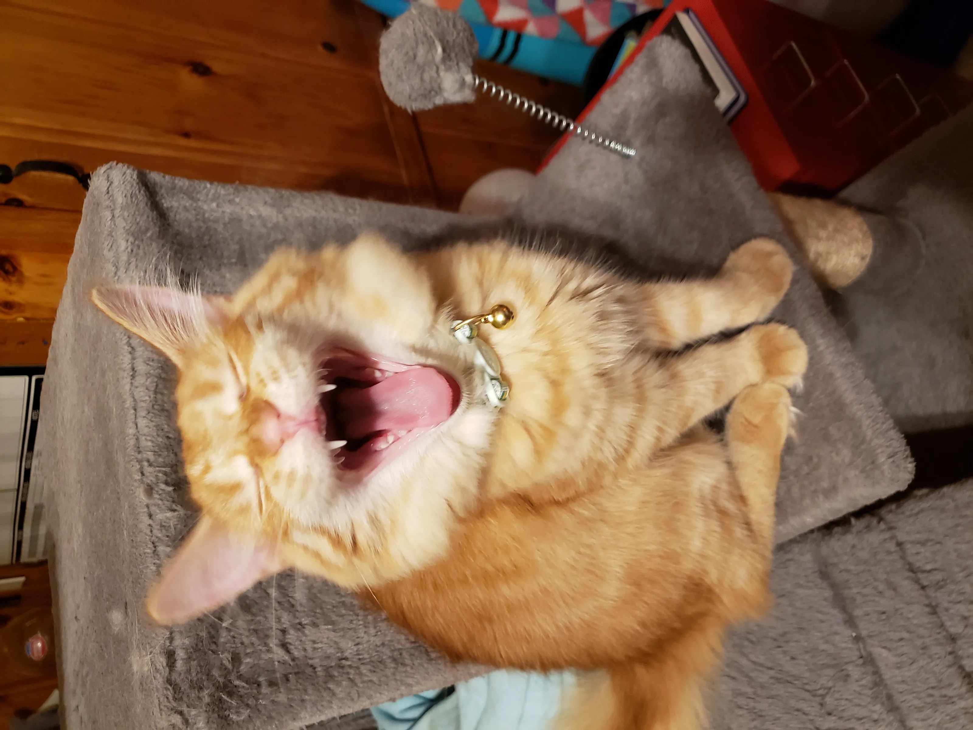 Banner image