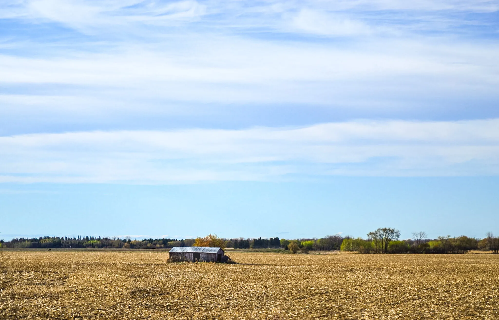 Little shack on the prairie