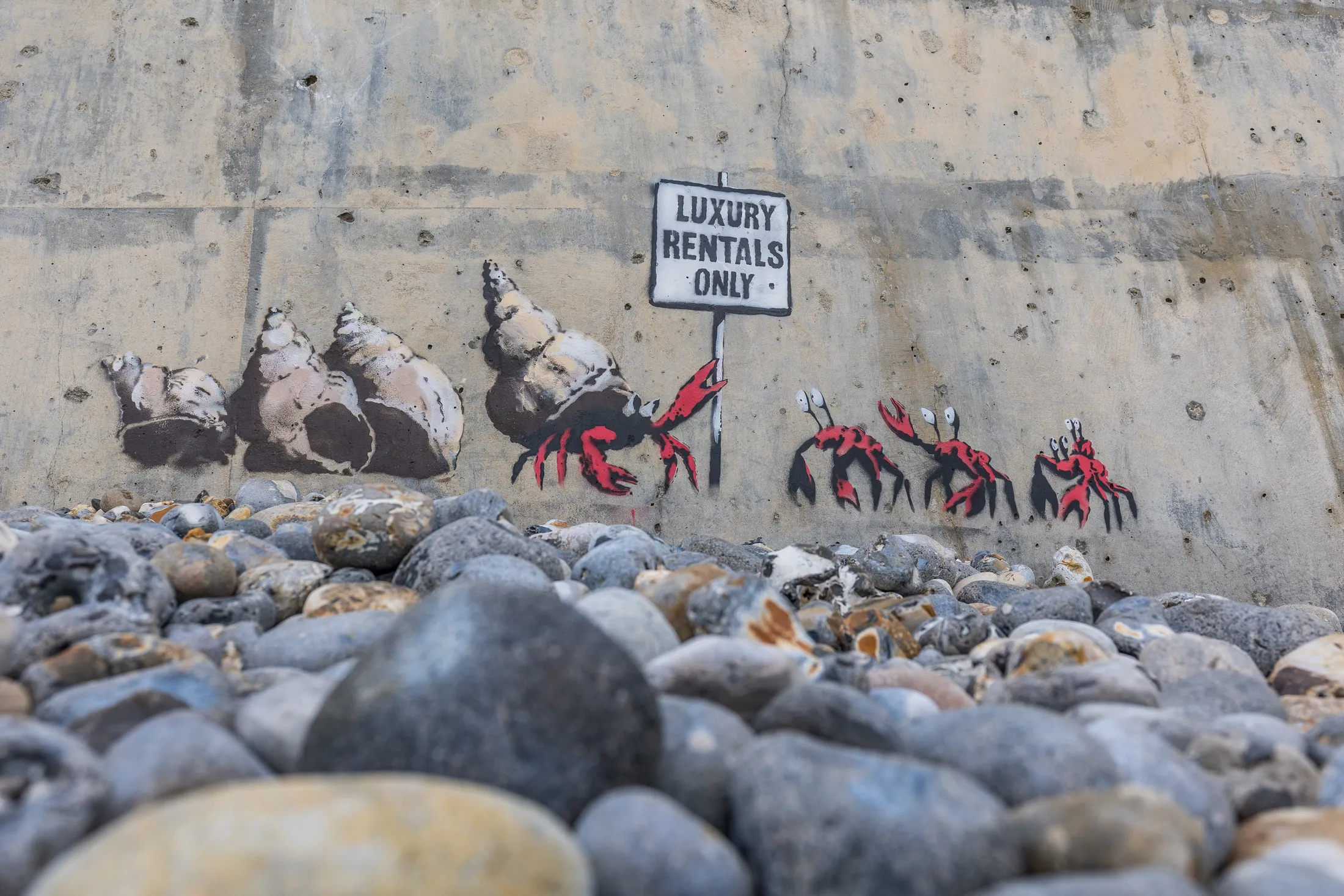 Crabs