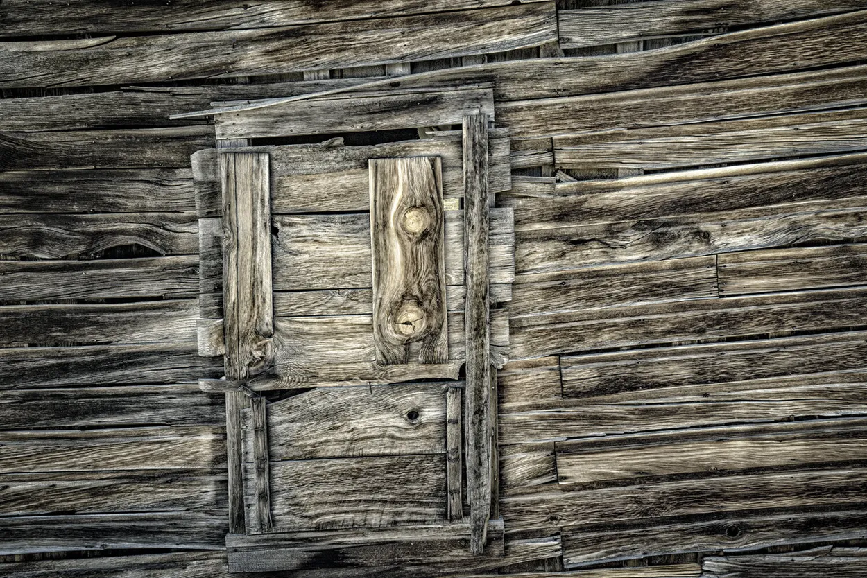 Entry 24094077