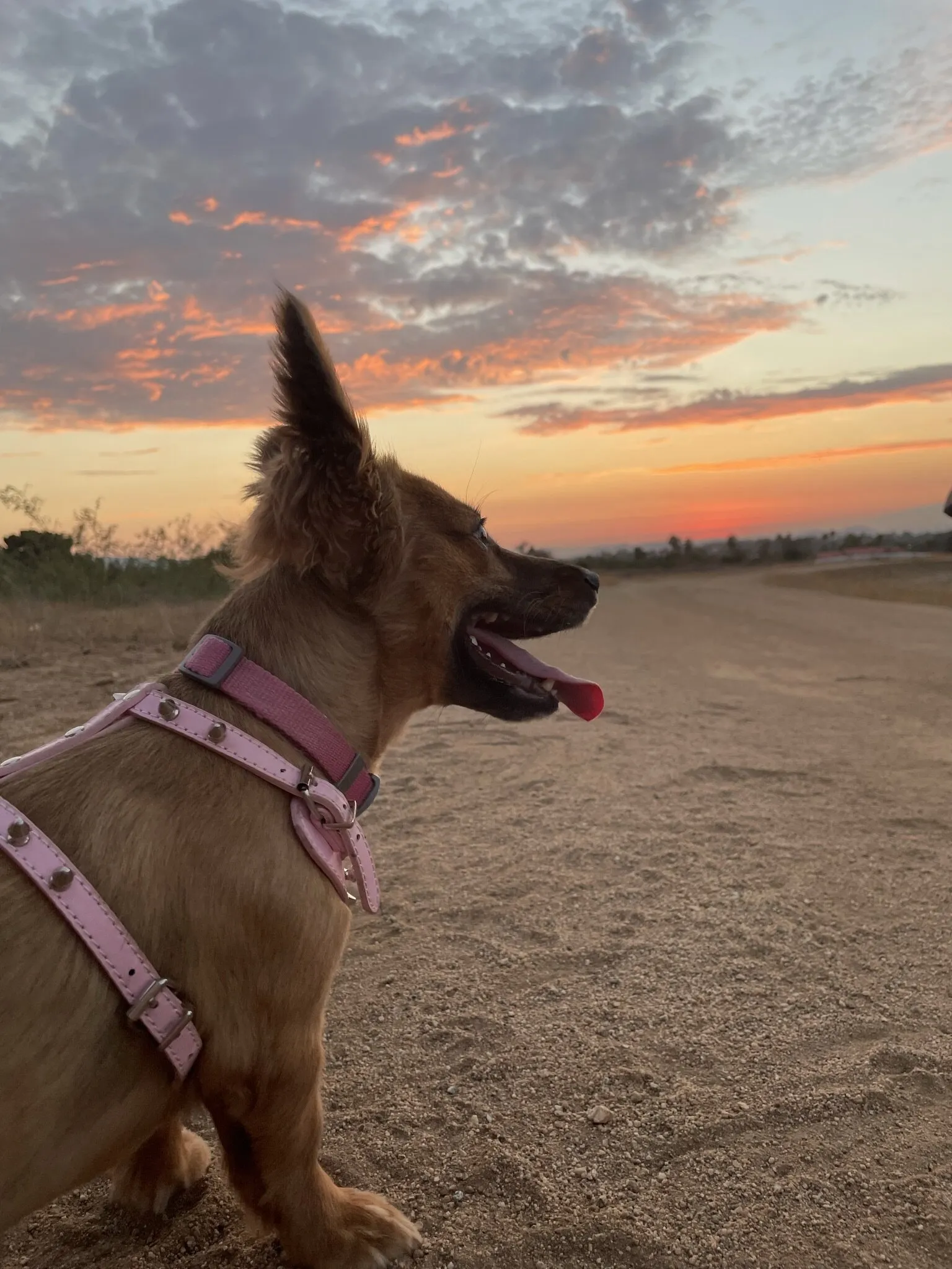 The sun sets in the west