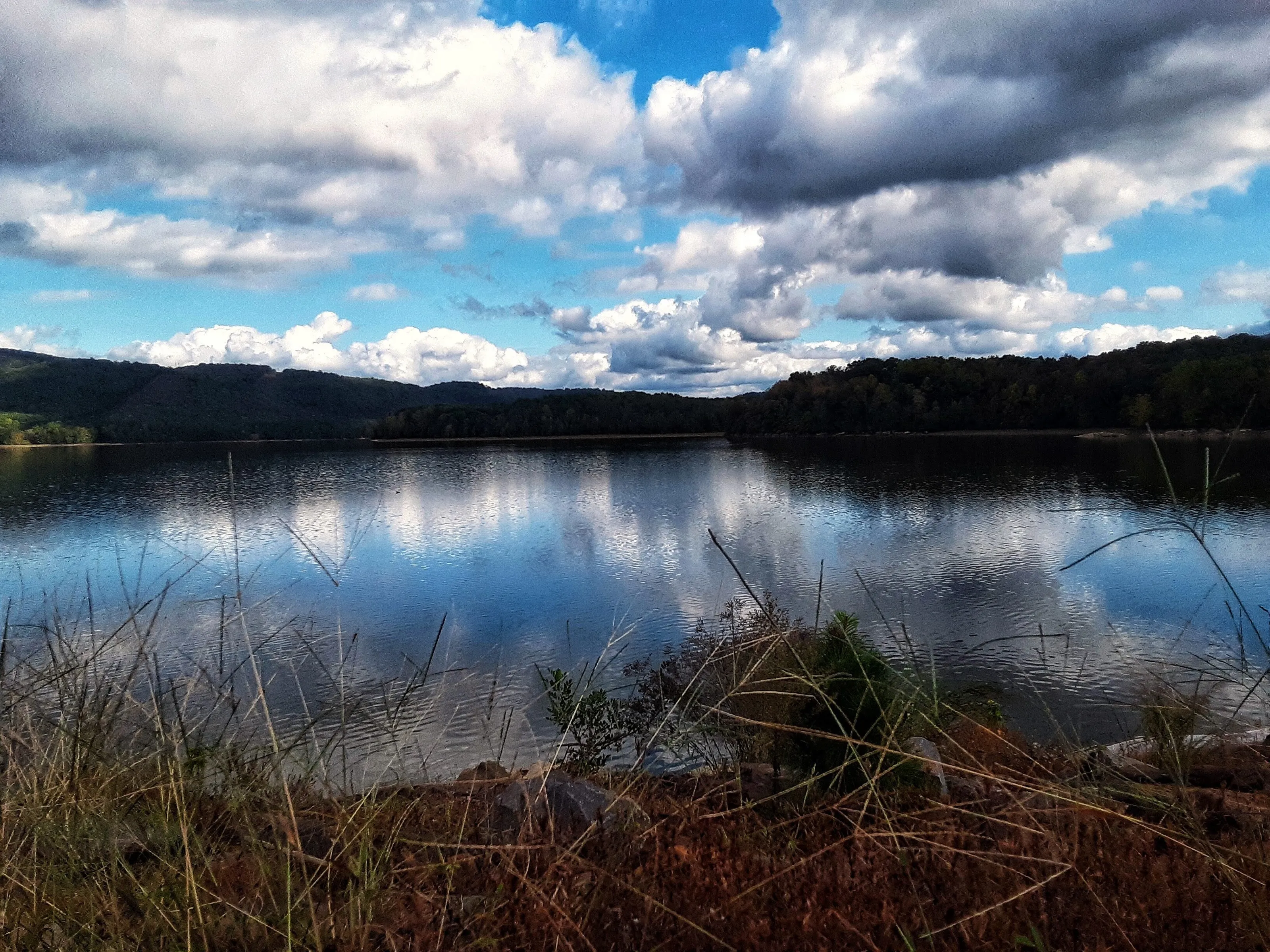 Reflected landscape