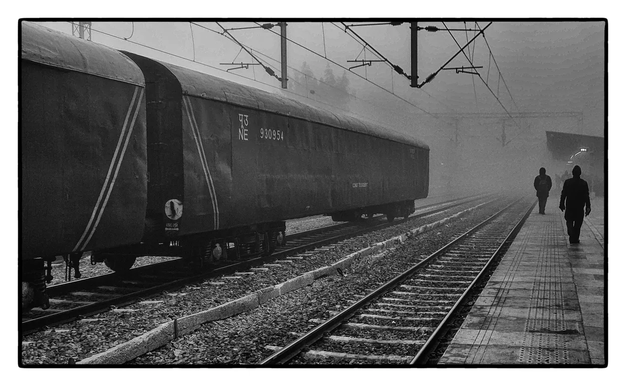 Entry 24960331