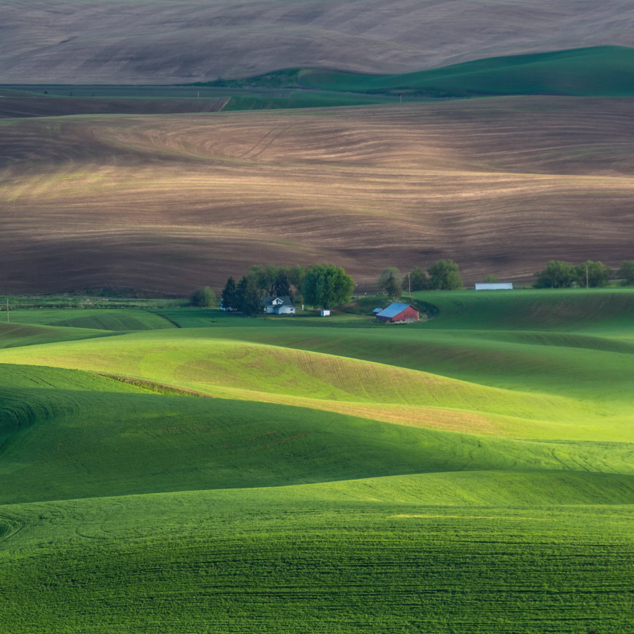Palouse