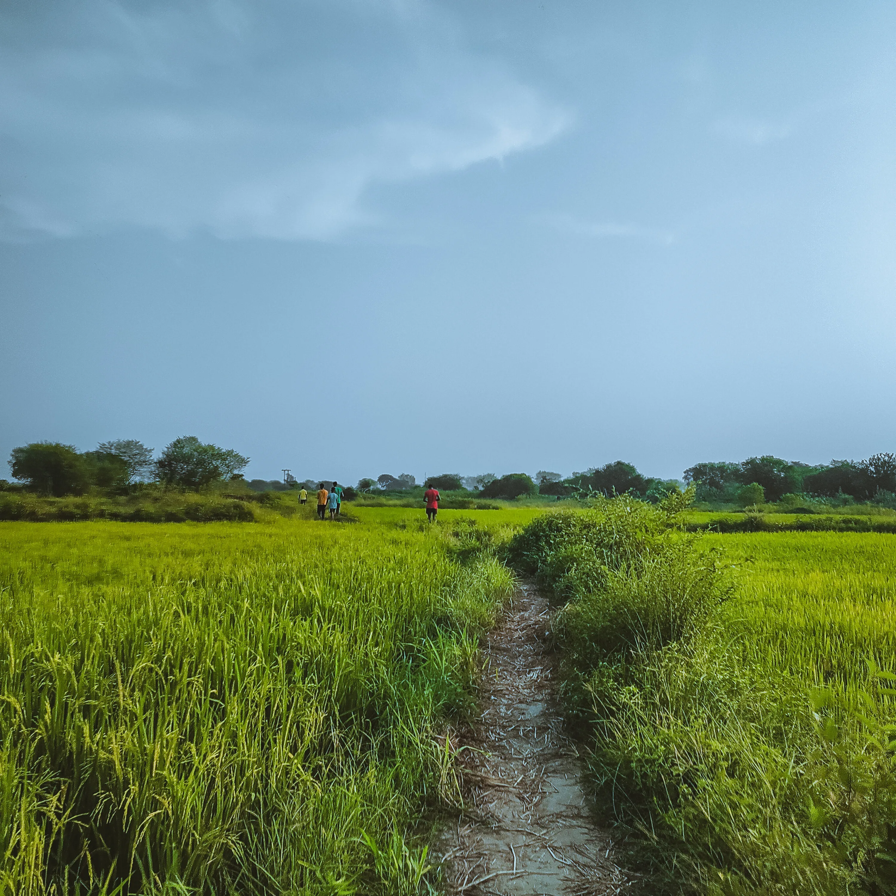 खूबसूरत गाँव मेरा।।